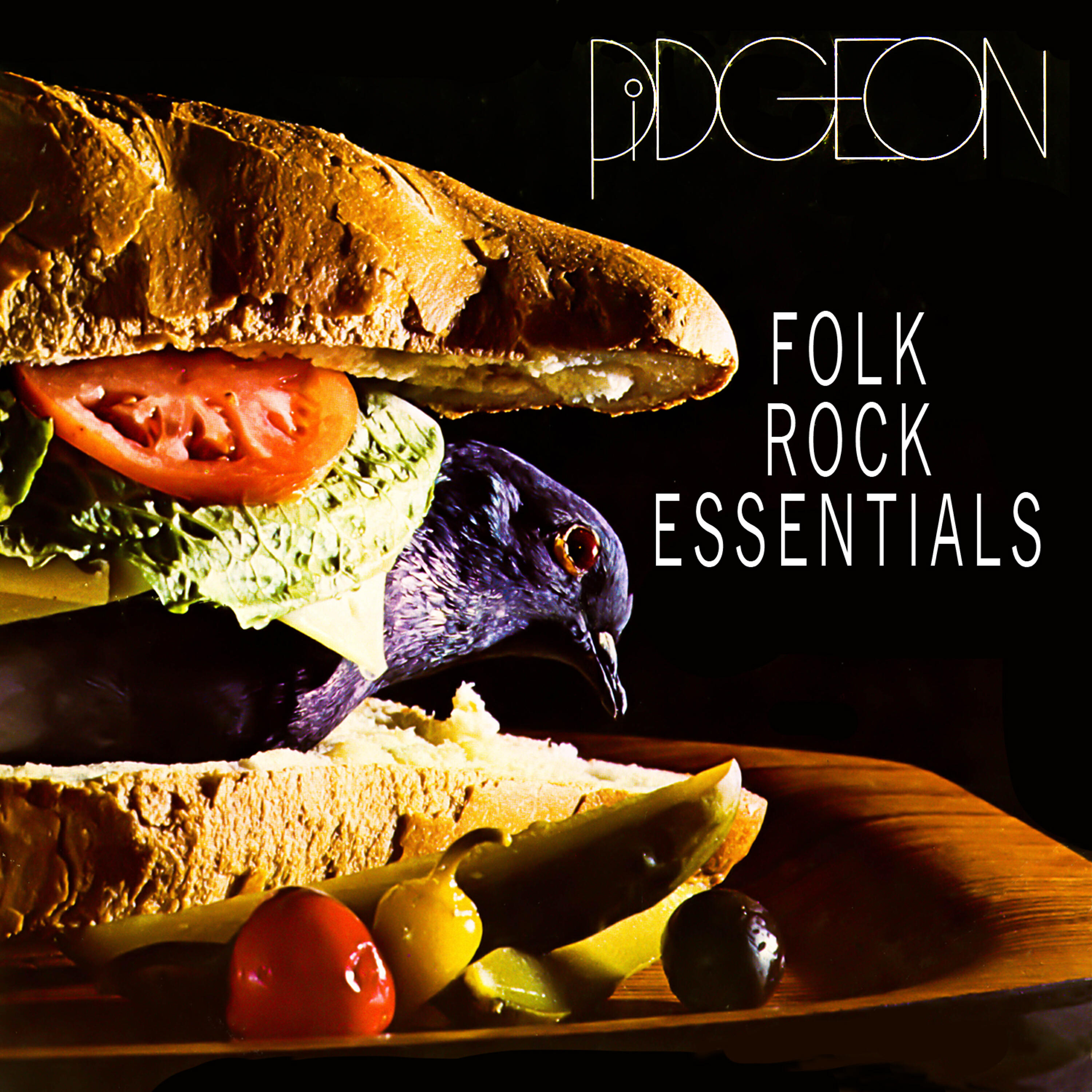 Pidgeon - When She Arrives
