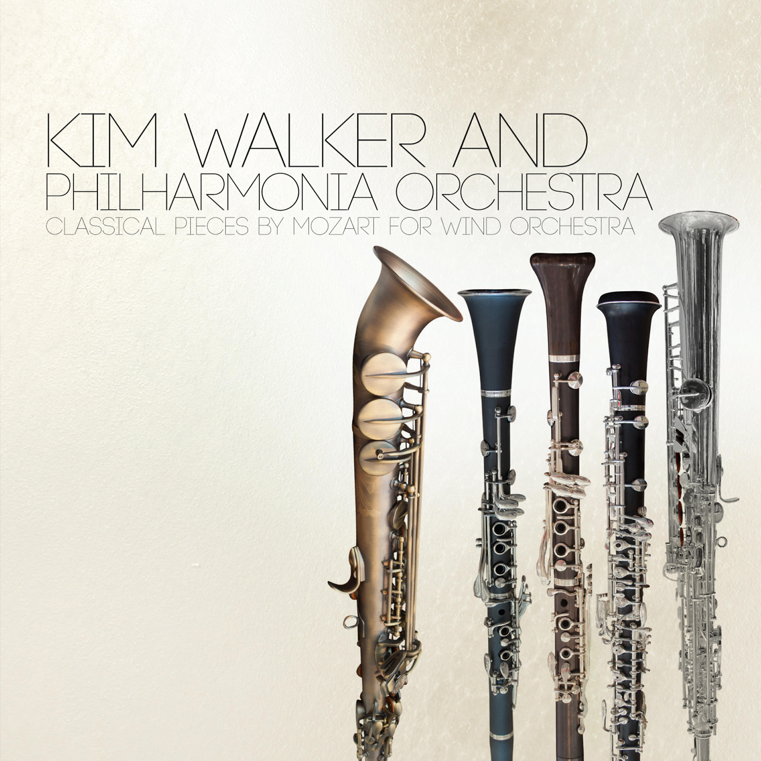 Tamás Vásáry - Flute Concerto No. 1 in G Major, K. 313: Adagio non troppo