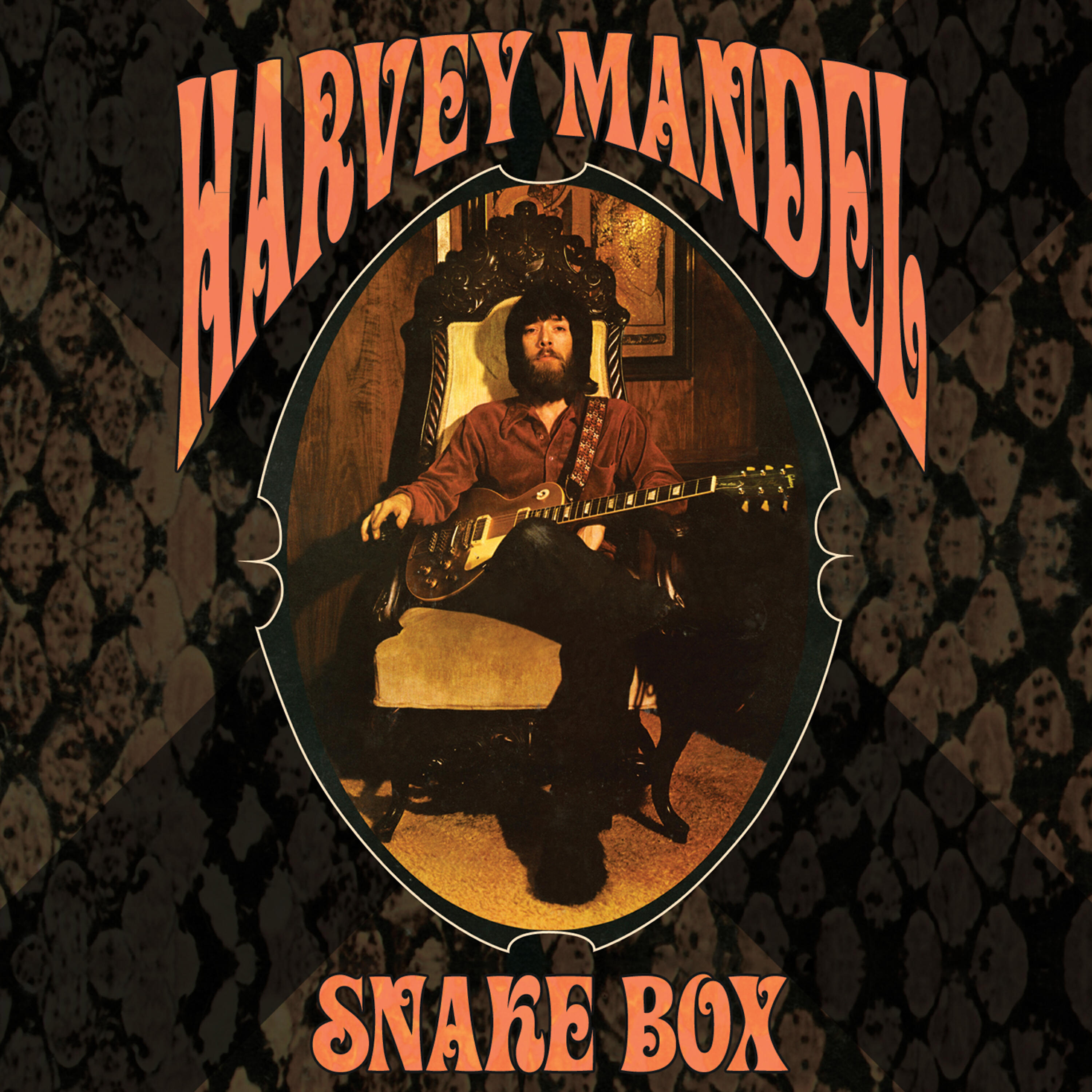 Harvey Mandel - El Stinger