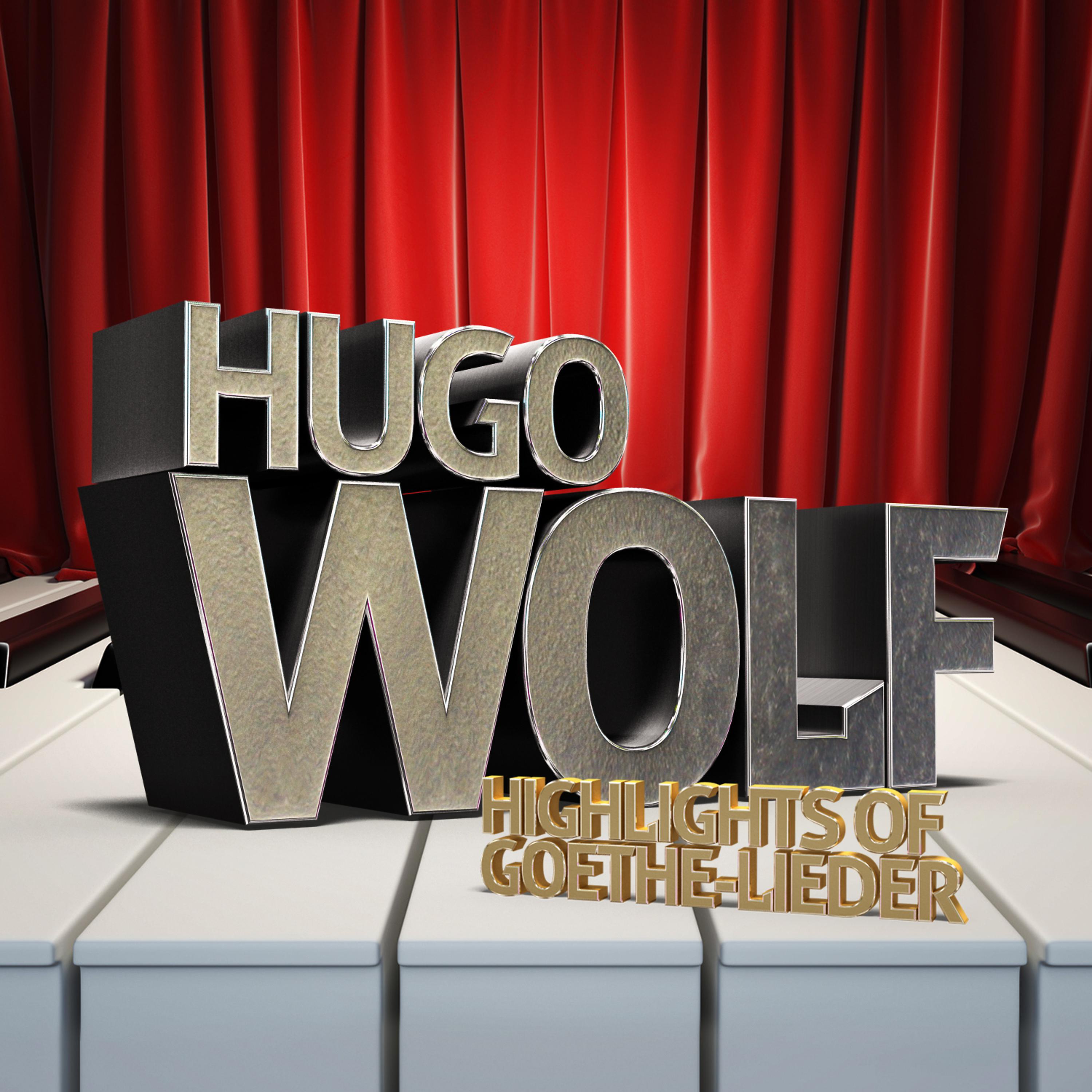 Постер альбома Hugo Wolf: Highlights of Goethe-Lieder