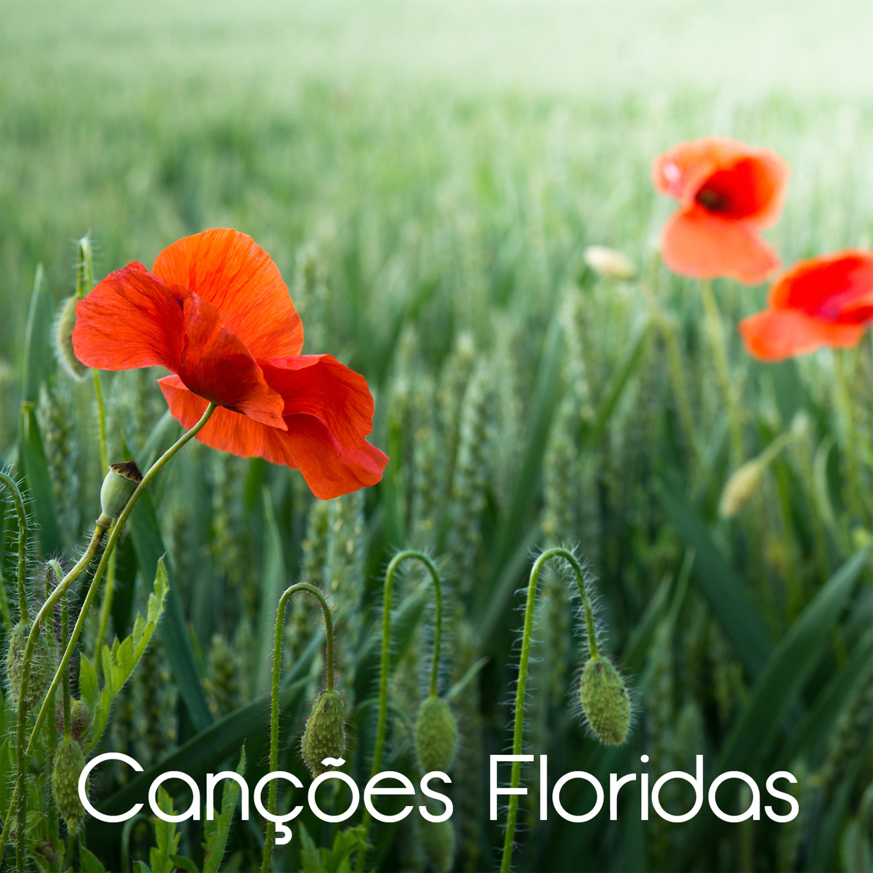 Постер альбома Canções Floridas