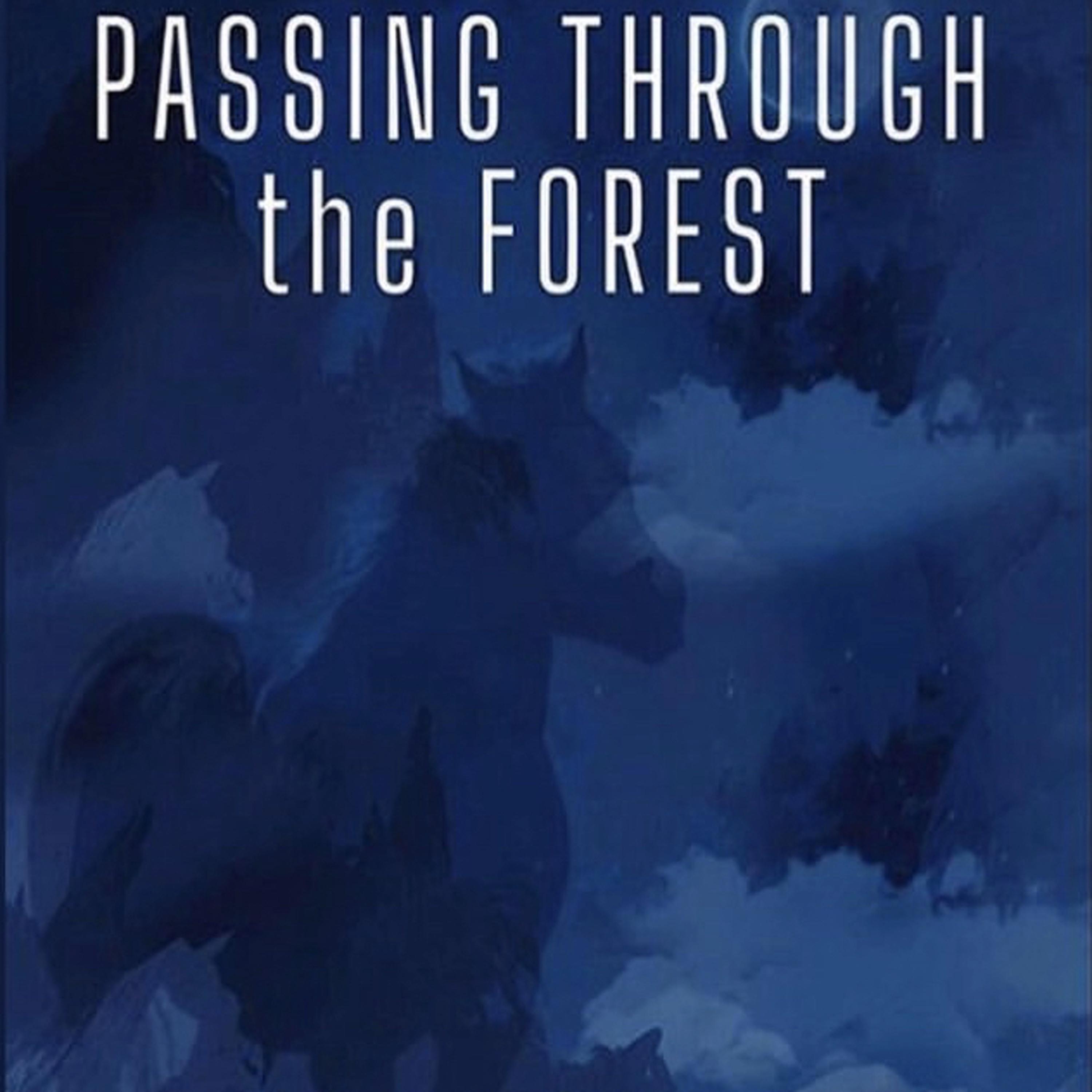 Постер альбома Passing Through The Forest (Original Movie Soundtracks)