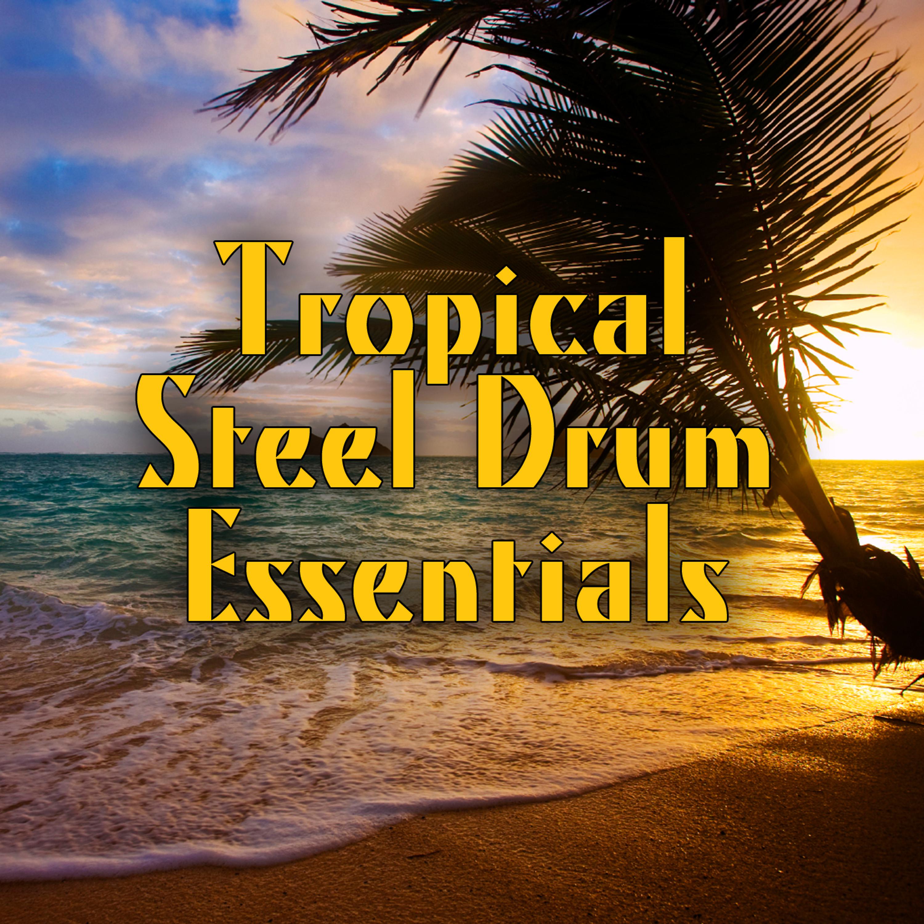 Постер альбома Tropical Steel Drum Essentials
