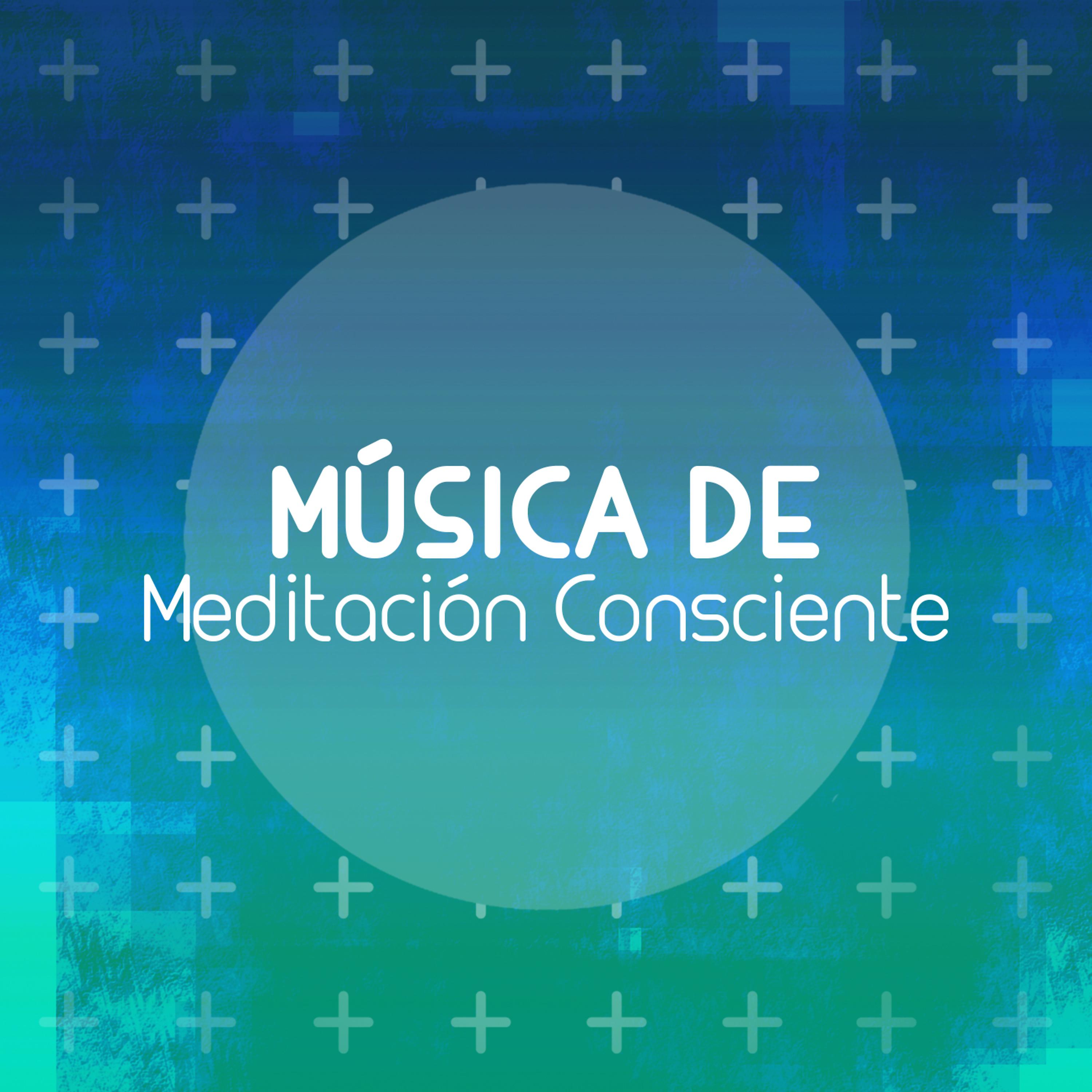 Постер альбома Música de Meditación Consciente