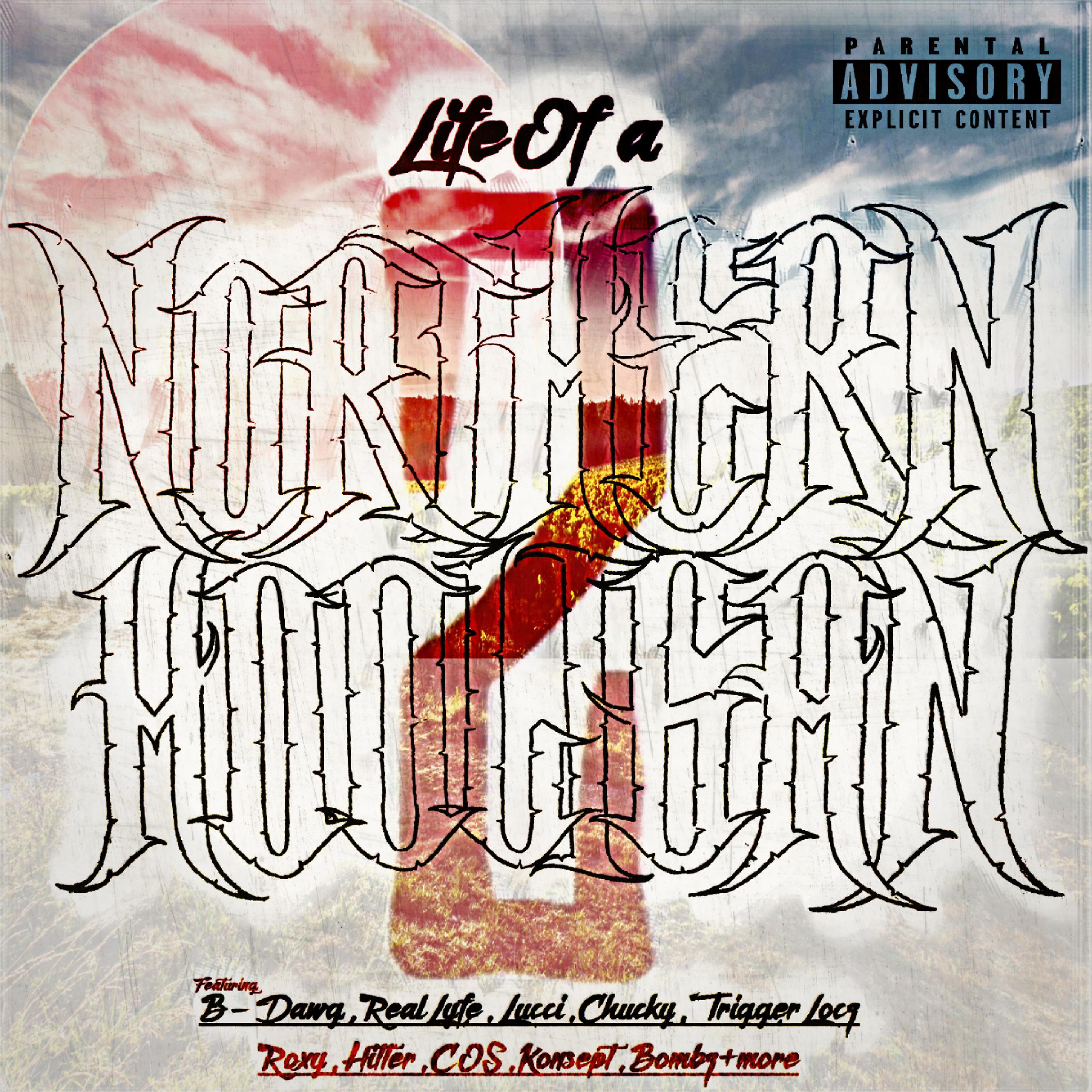 Постер альбома Life of a Northern Hooligan, Pt. 2