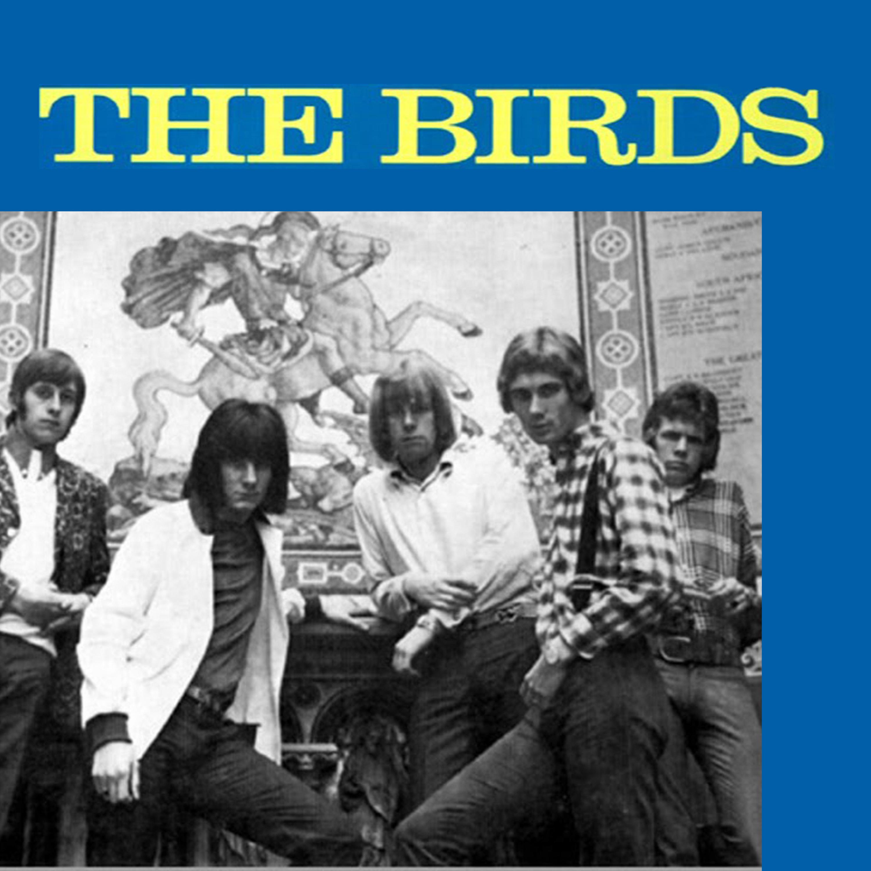 Постер альбома The Birds