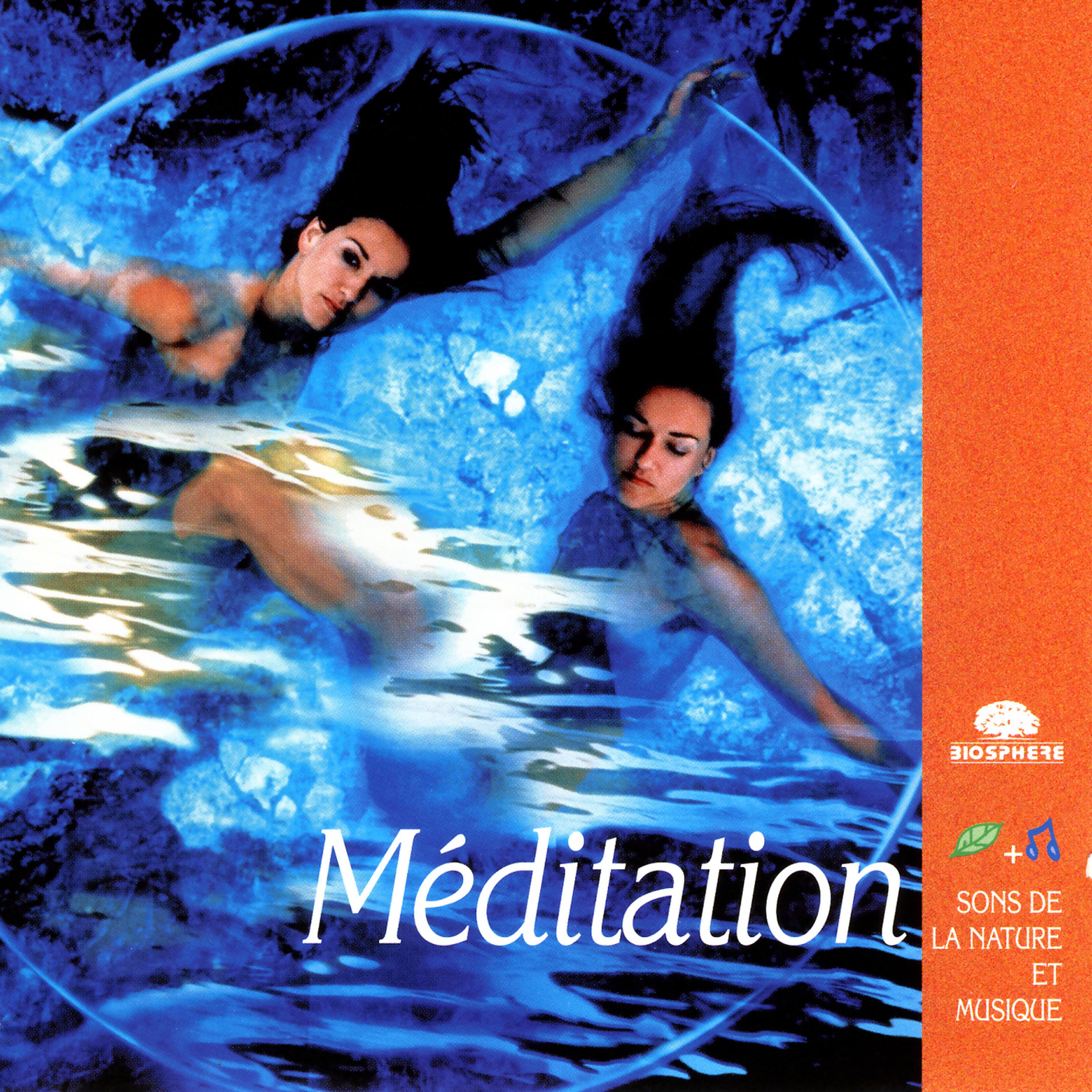 Постер альбома Meditation (Méditation)