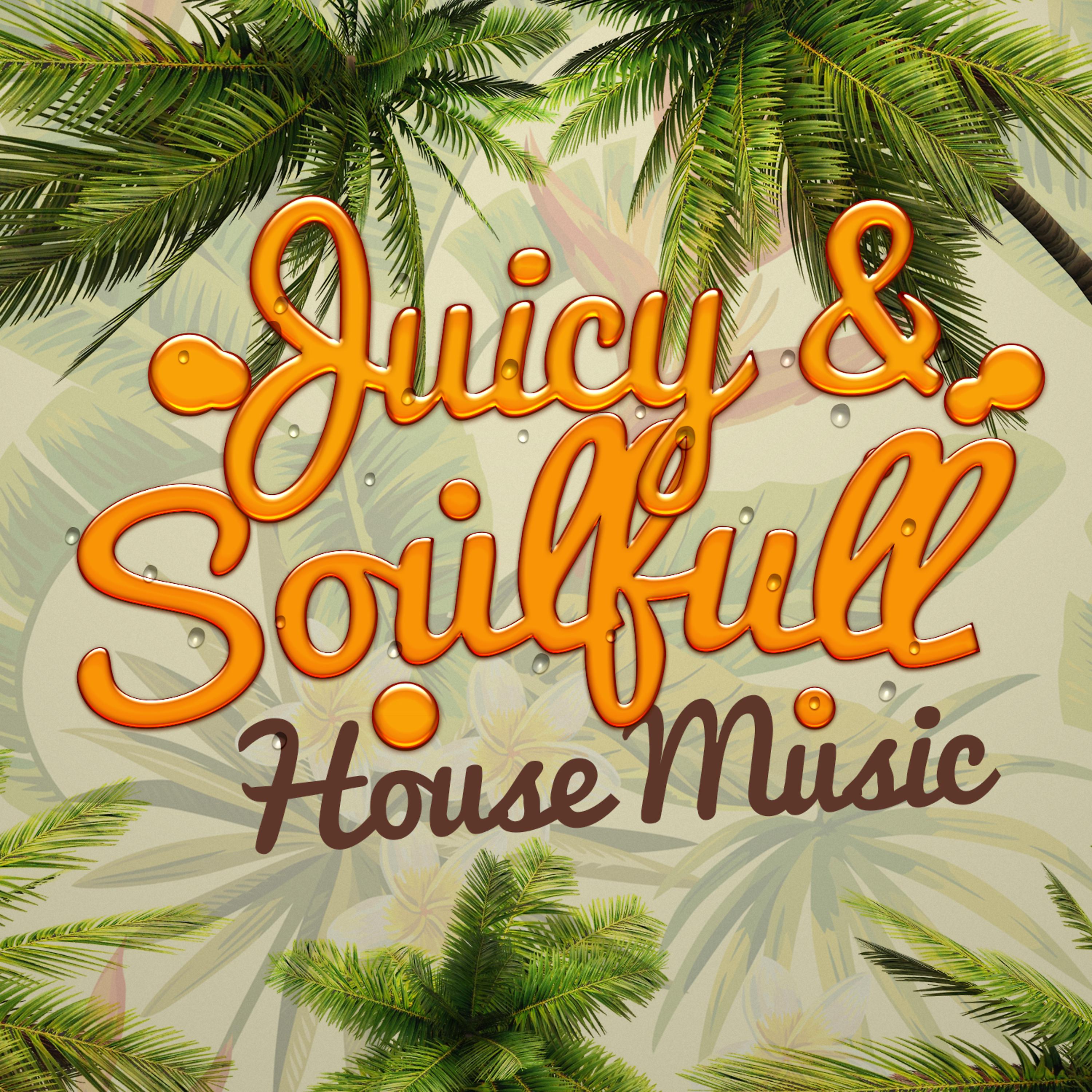 Постер альбома Juicy & Soulful House Music