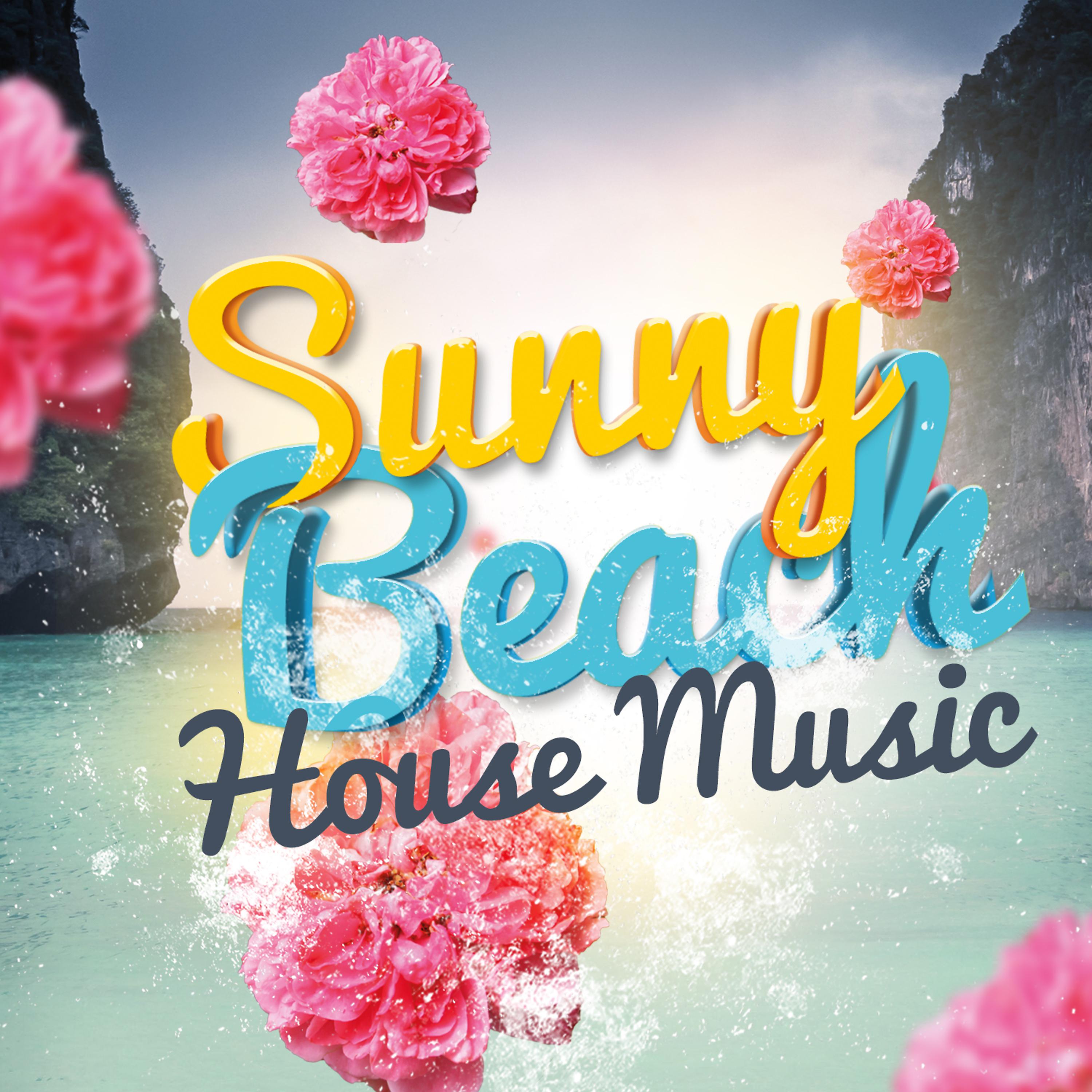 Постер альбома Sunny Beach House Music