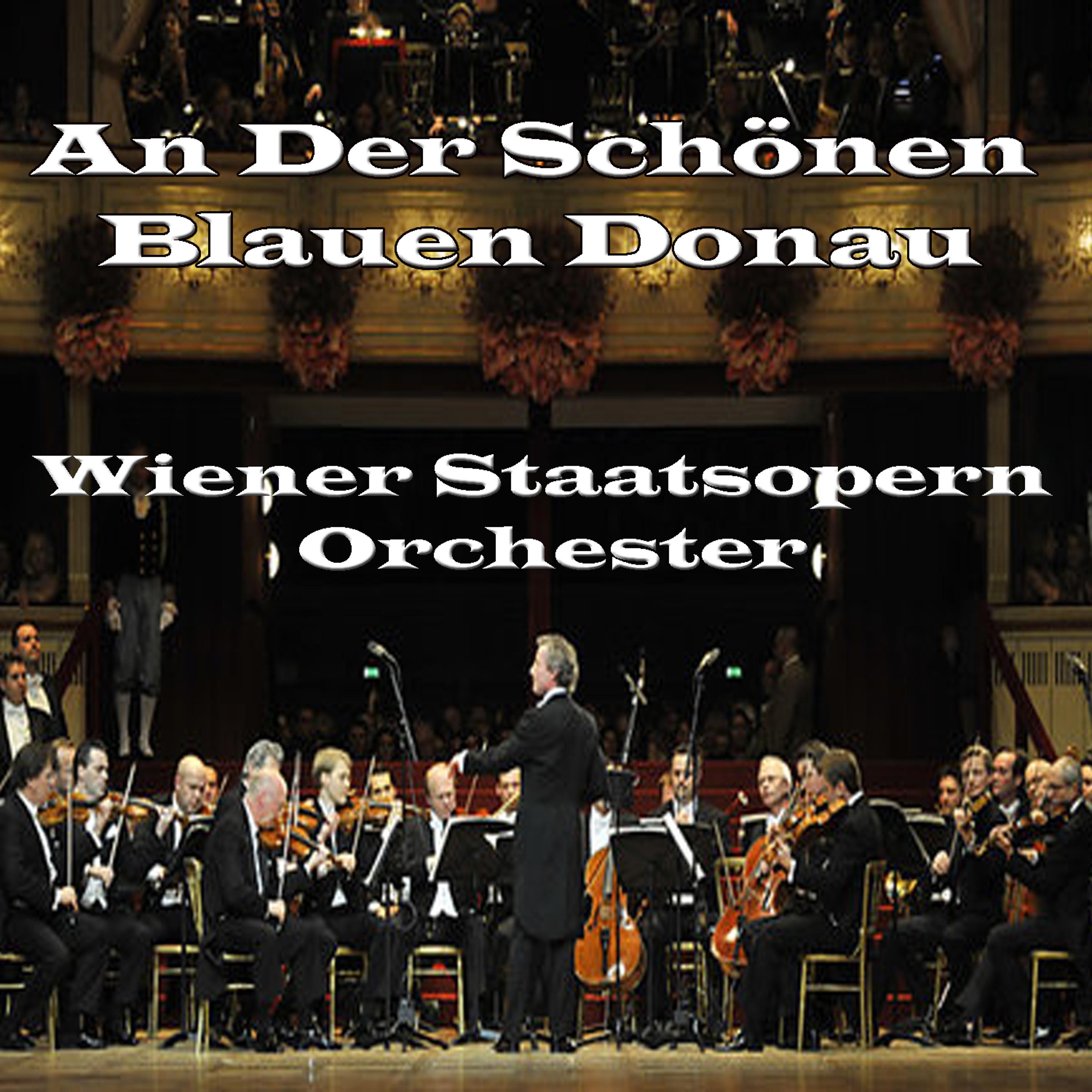Постер альбома An Der Schönen Blauen Donau