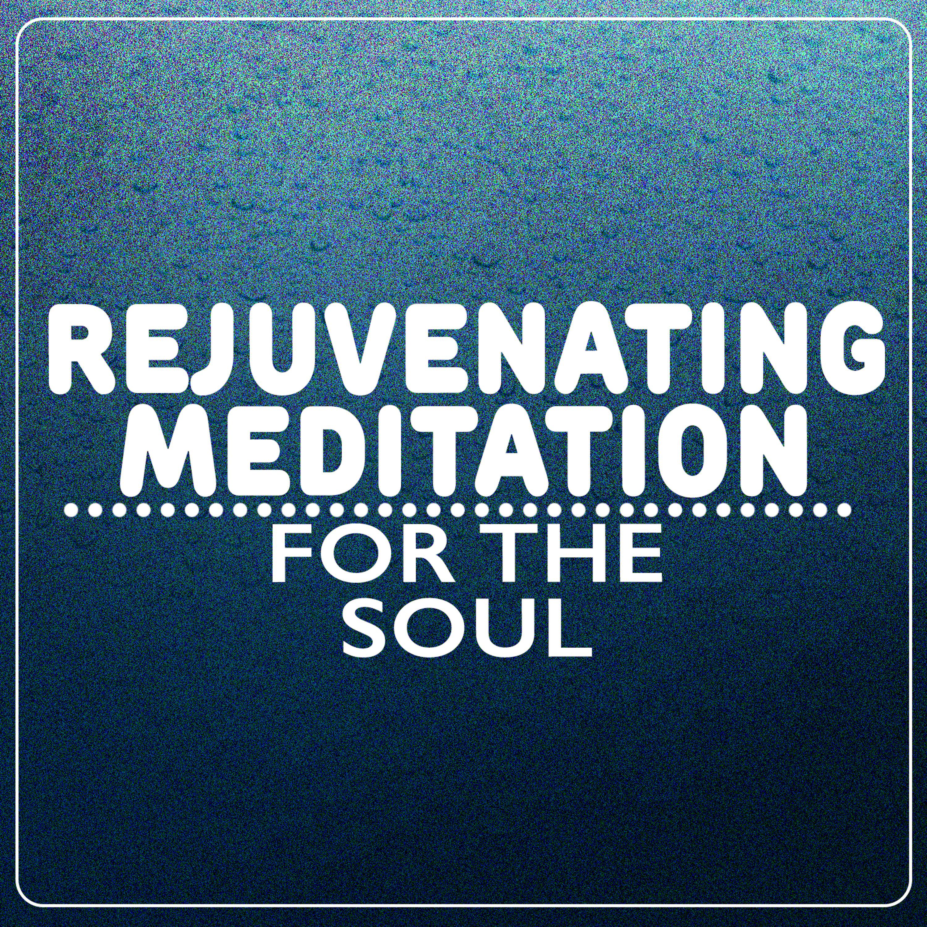 Постер альбома Rejuvenating Meditation for the Soul