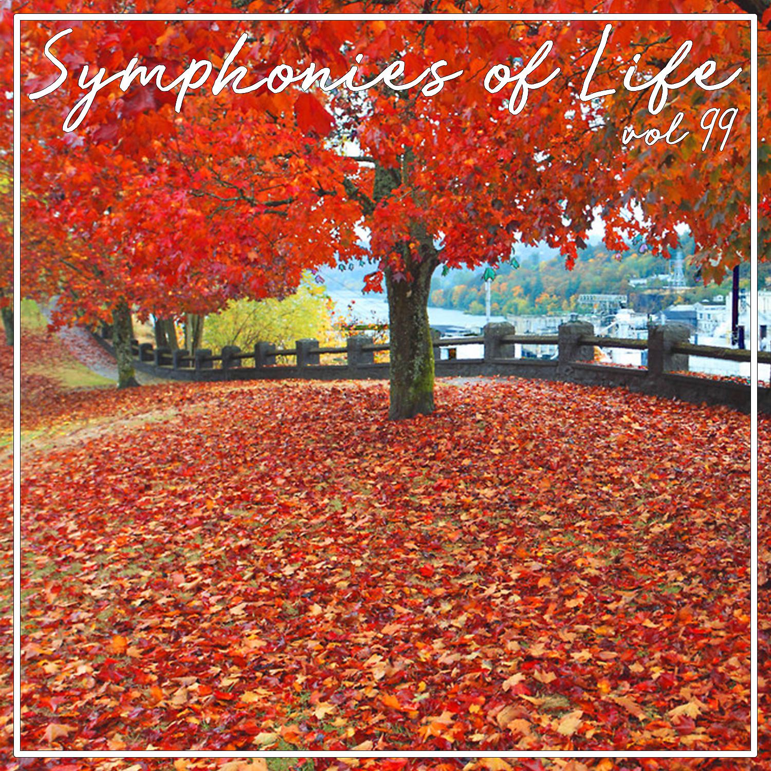 Постер альбома Symphonies of Life, Vol. 99