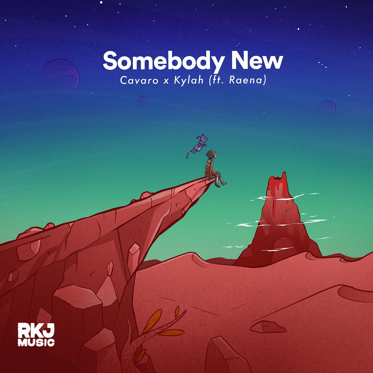 Постер альбома Somebody New (feat. Raena)