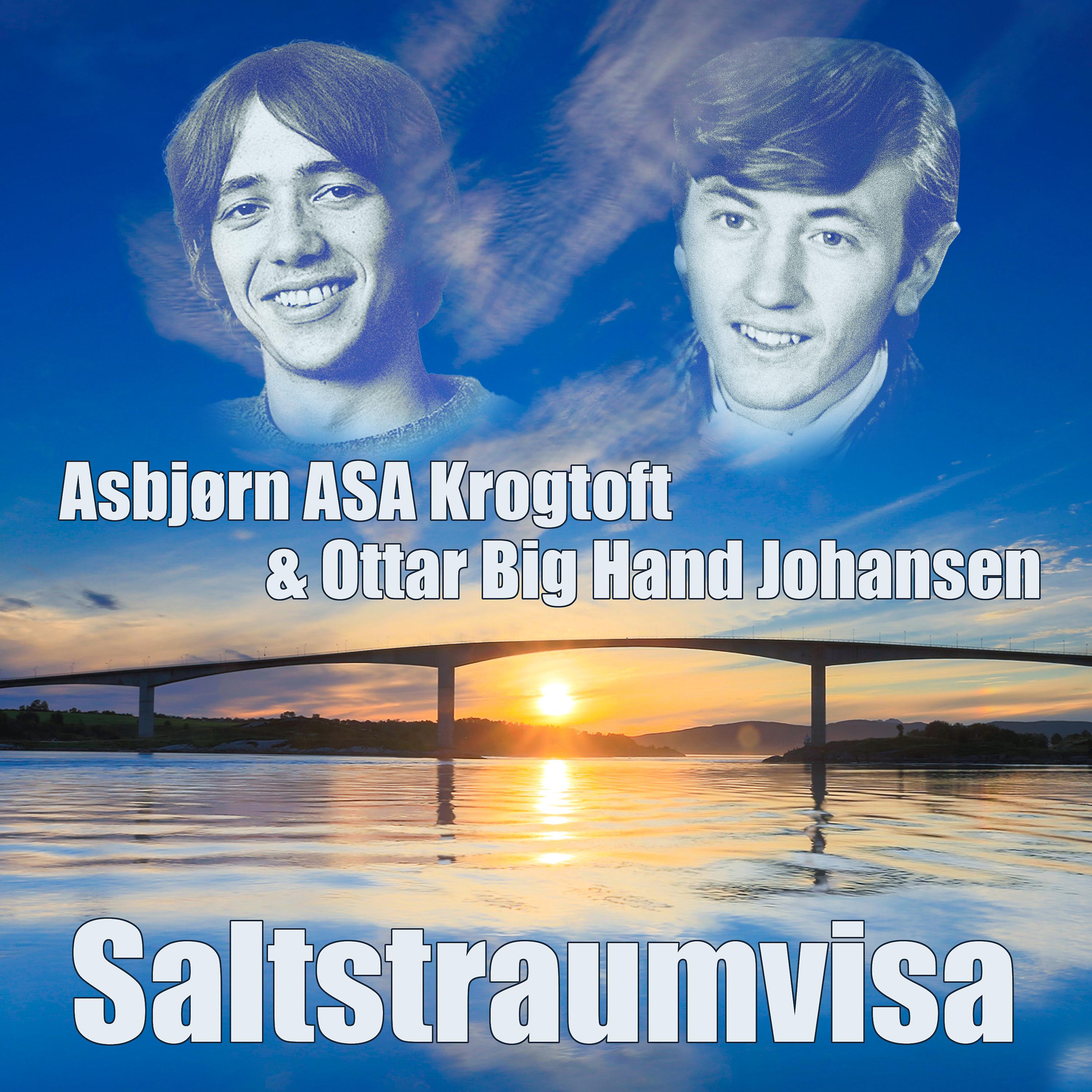 Постер альбома Saltstraumvisa