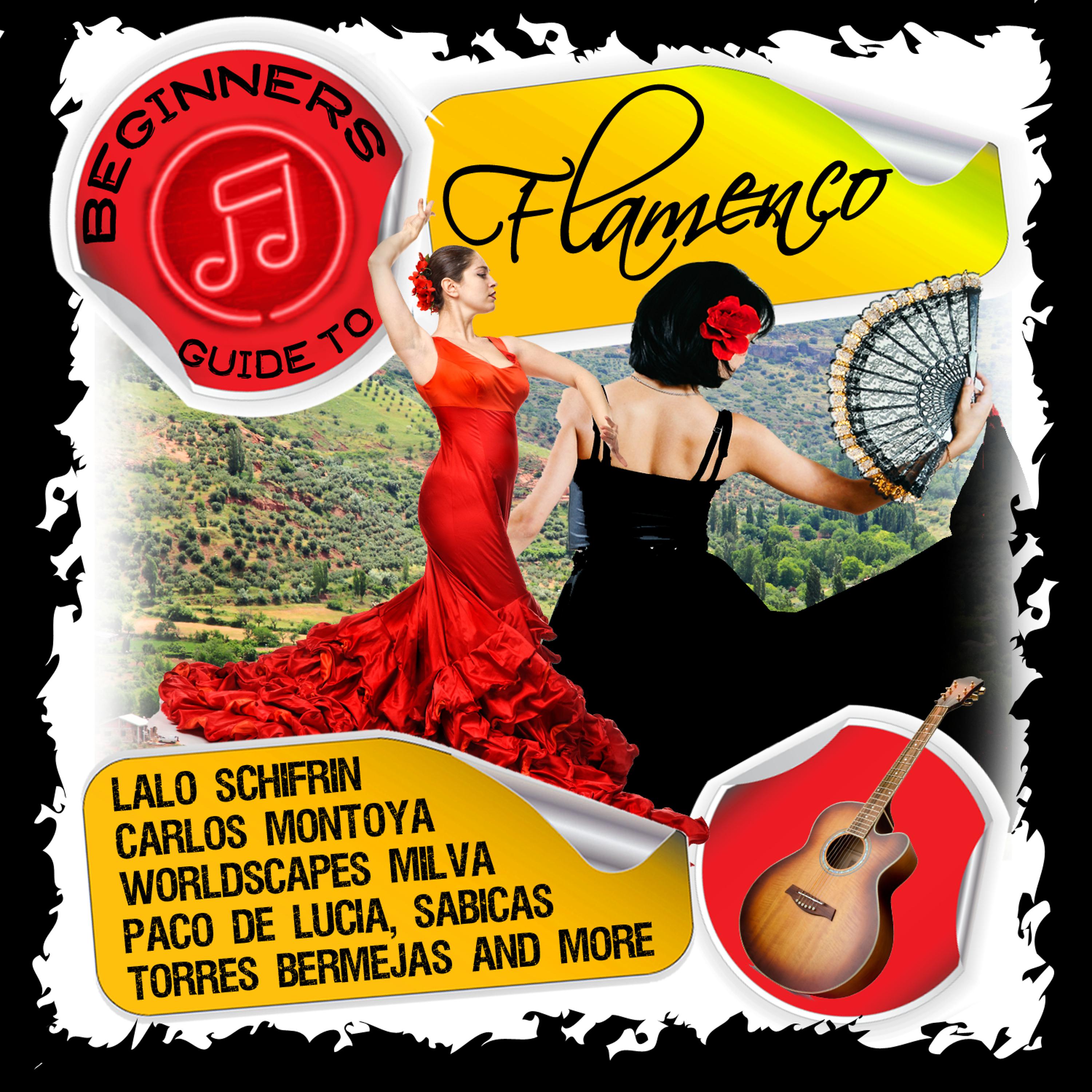 Постер альбома Beginners Guide to Flamenco