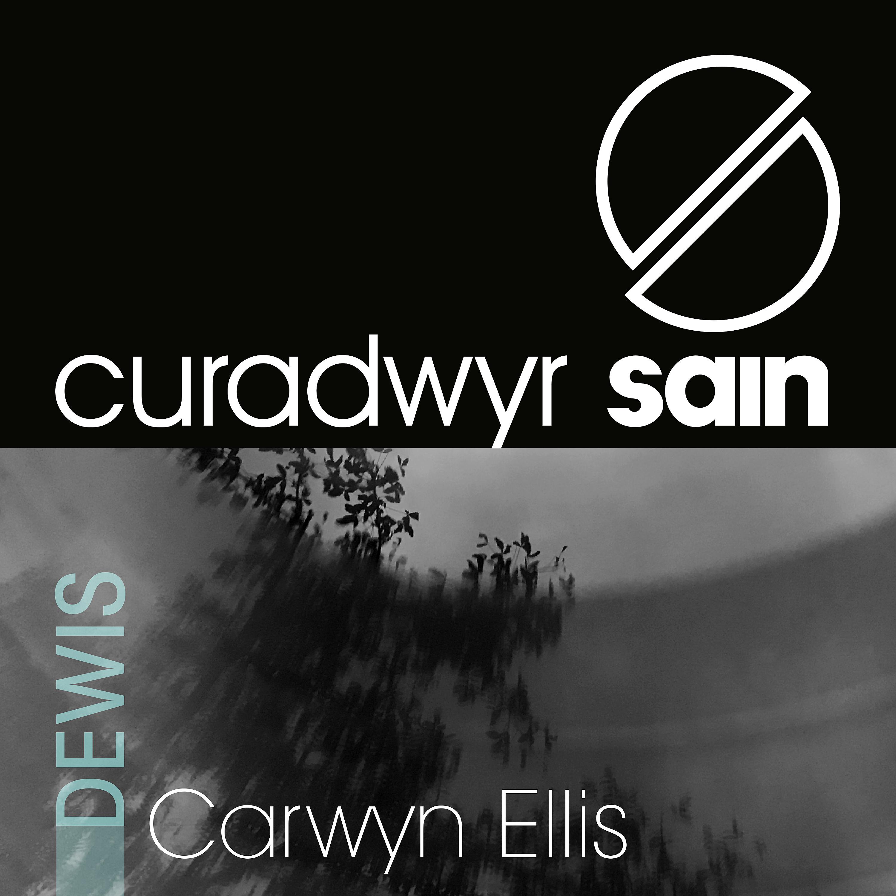 Постер альбома CURADWYR SAIN - Dewis Carwyn Ellis