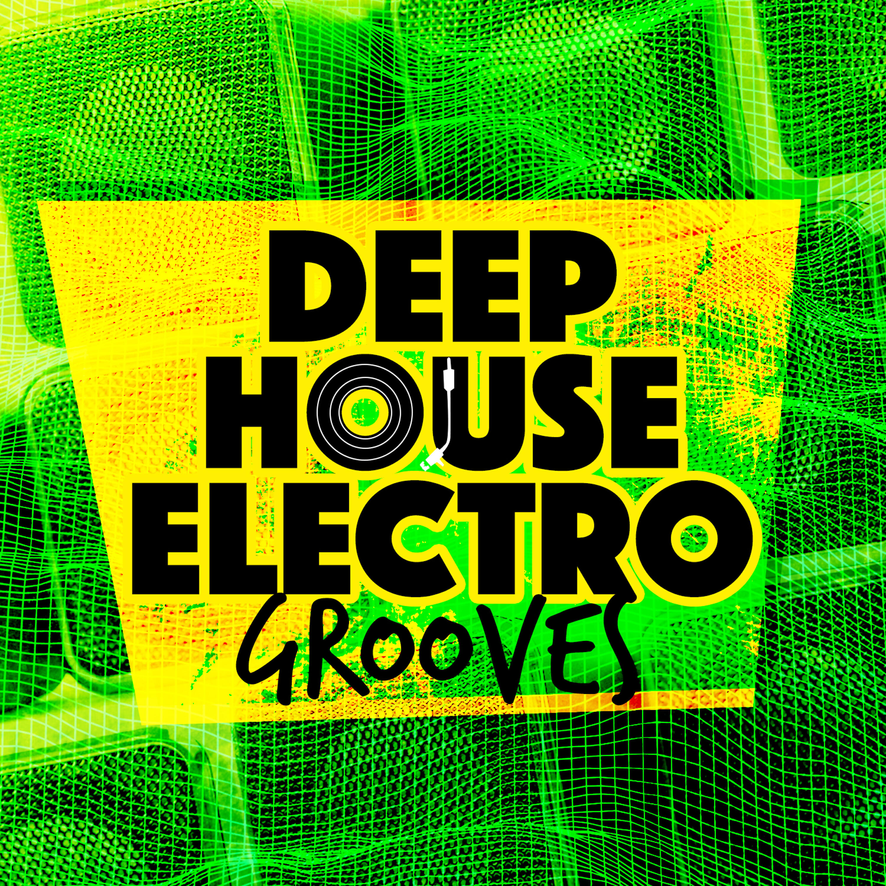 Deep Electro House Grooves - House Untitled