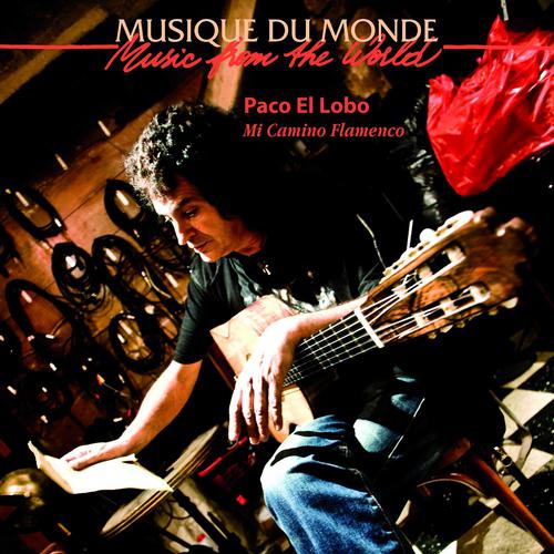 Постер альбома Musique du monde : Mi Camino Flamenco