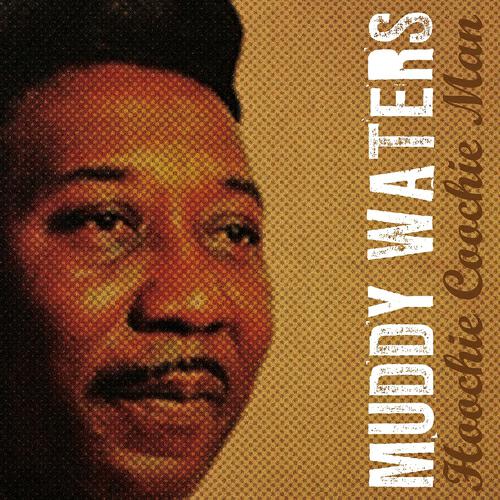 Muddy Waters - Forty Days and Forty Nights