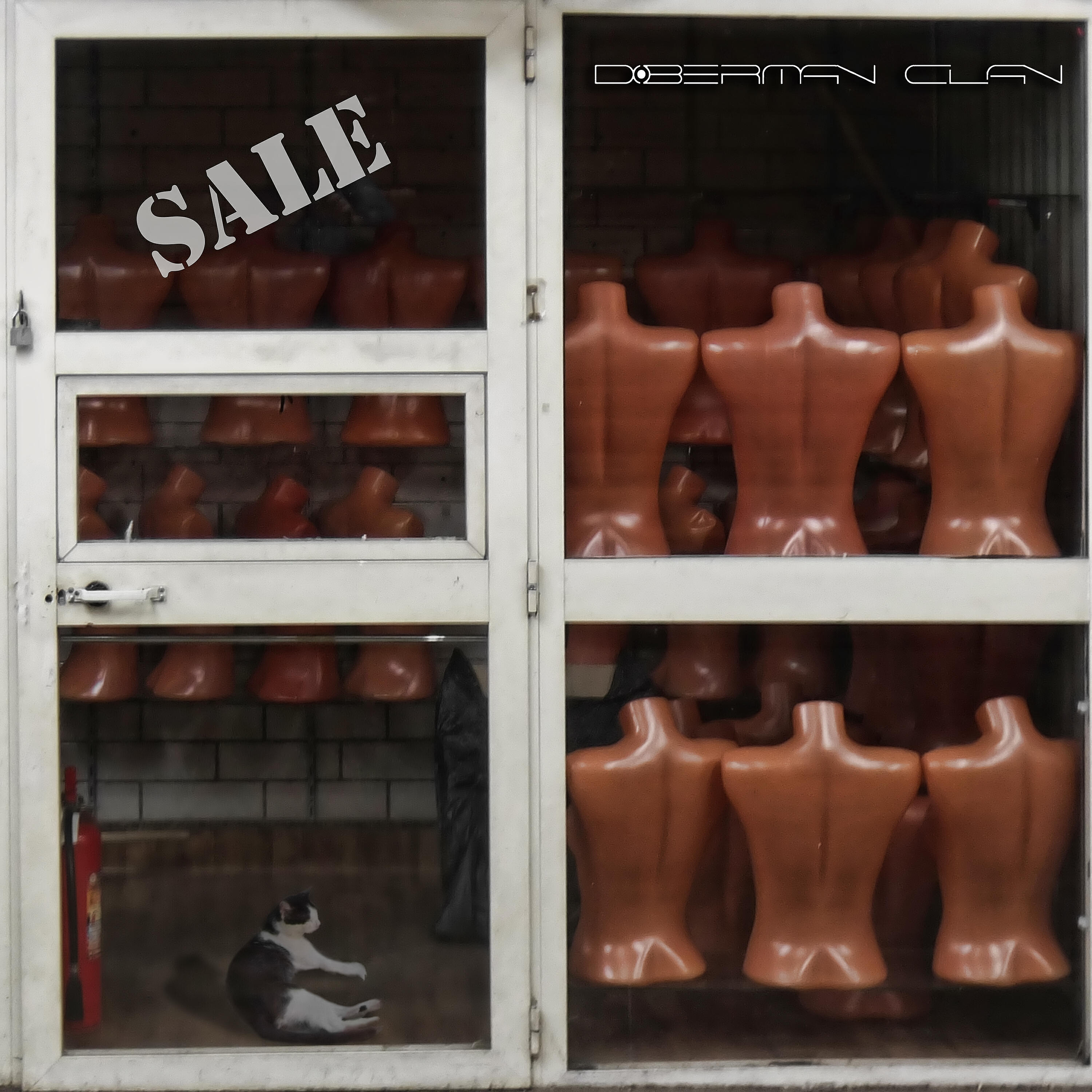 Doberman Clan - Remission
