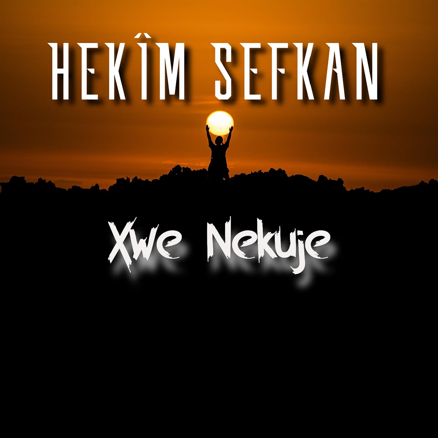 Постер альбома Xwe Nekuje