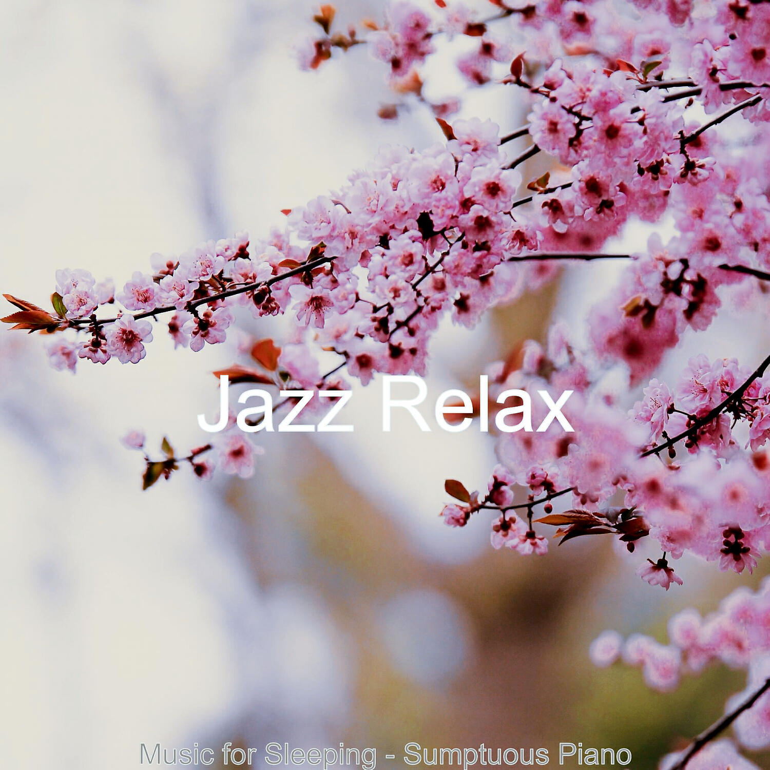 Jazz Relax - Suave Jazz Piano - Bgm for Working from Home