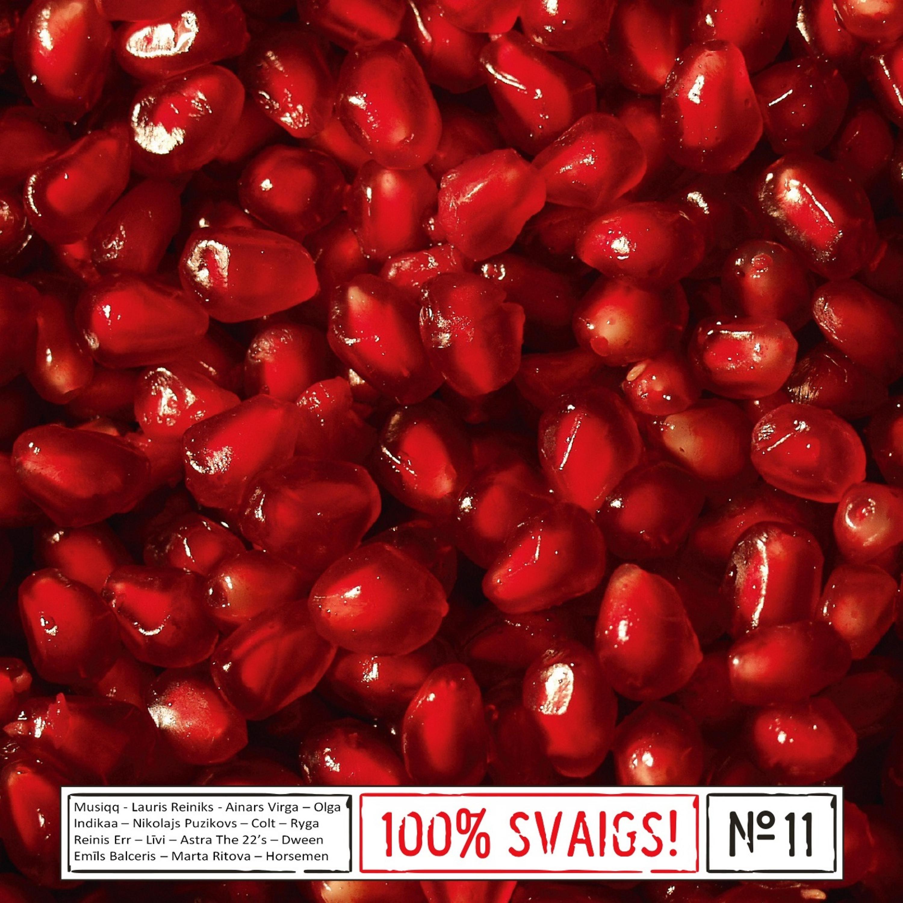 Постер альбома 100% Svaigs, Vol.11