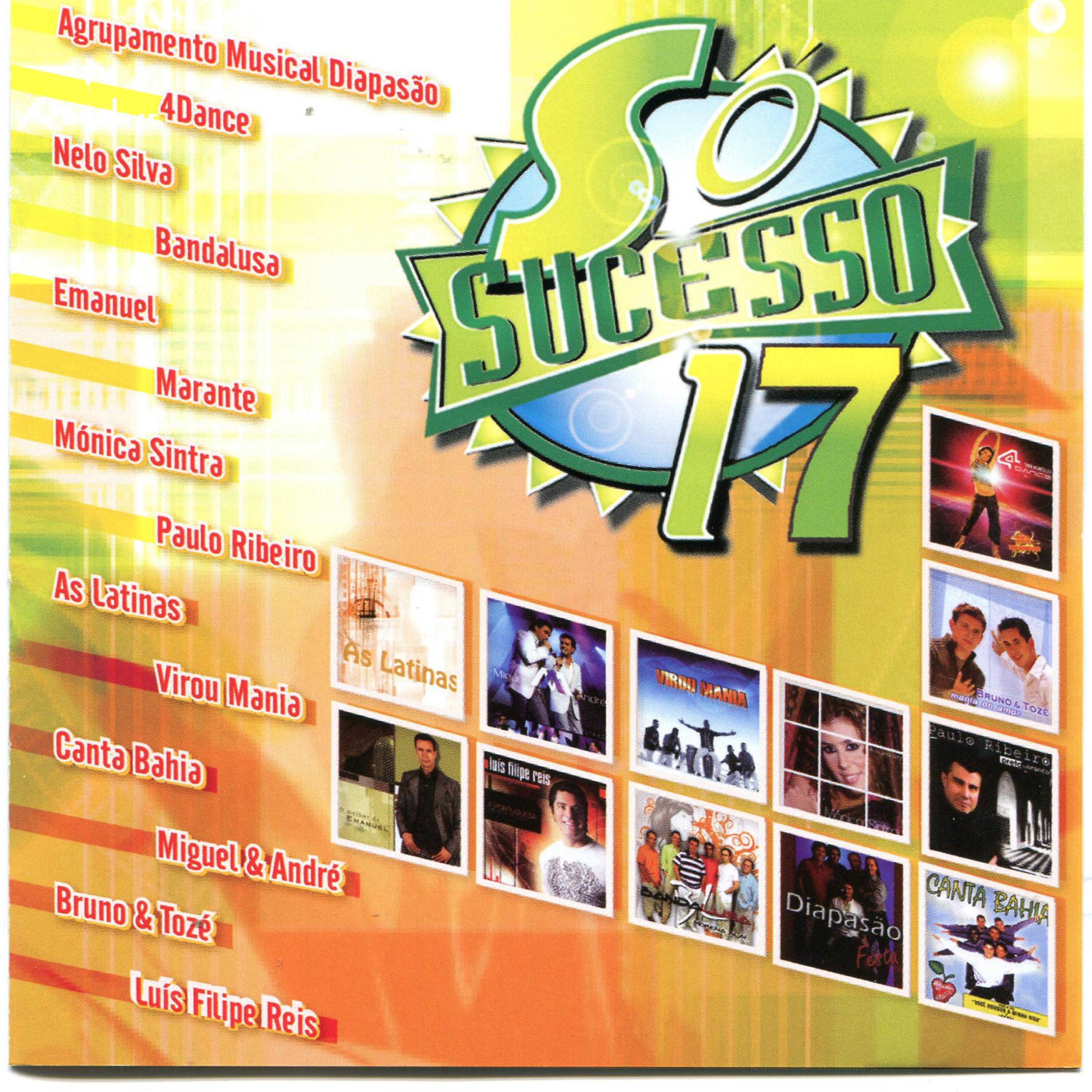 Постер альбома Só Sucesso 17