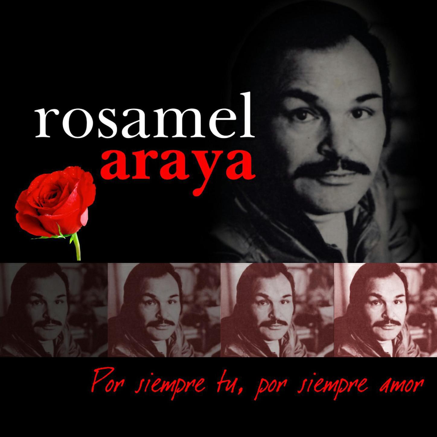 Rosamel Araya - Paloma