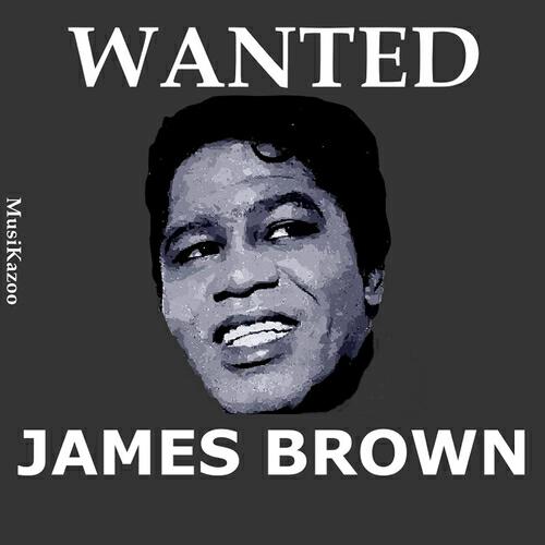 James Brown - Messing With the Blues