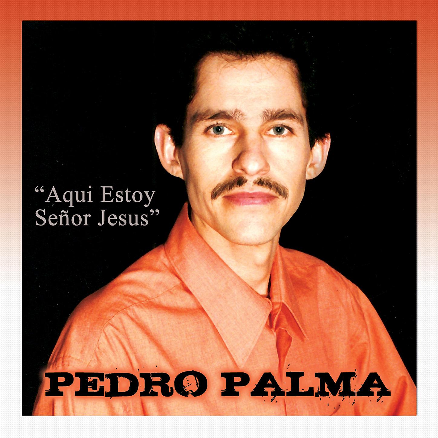 Педро песня на каком языке
