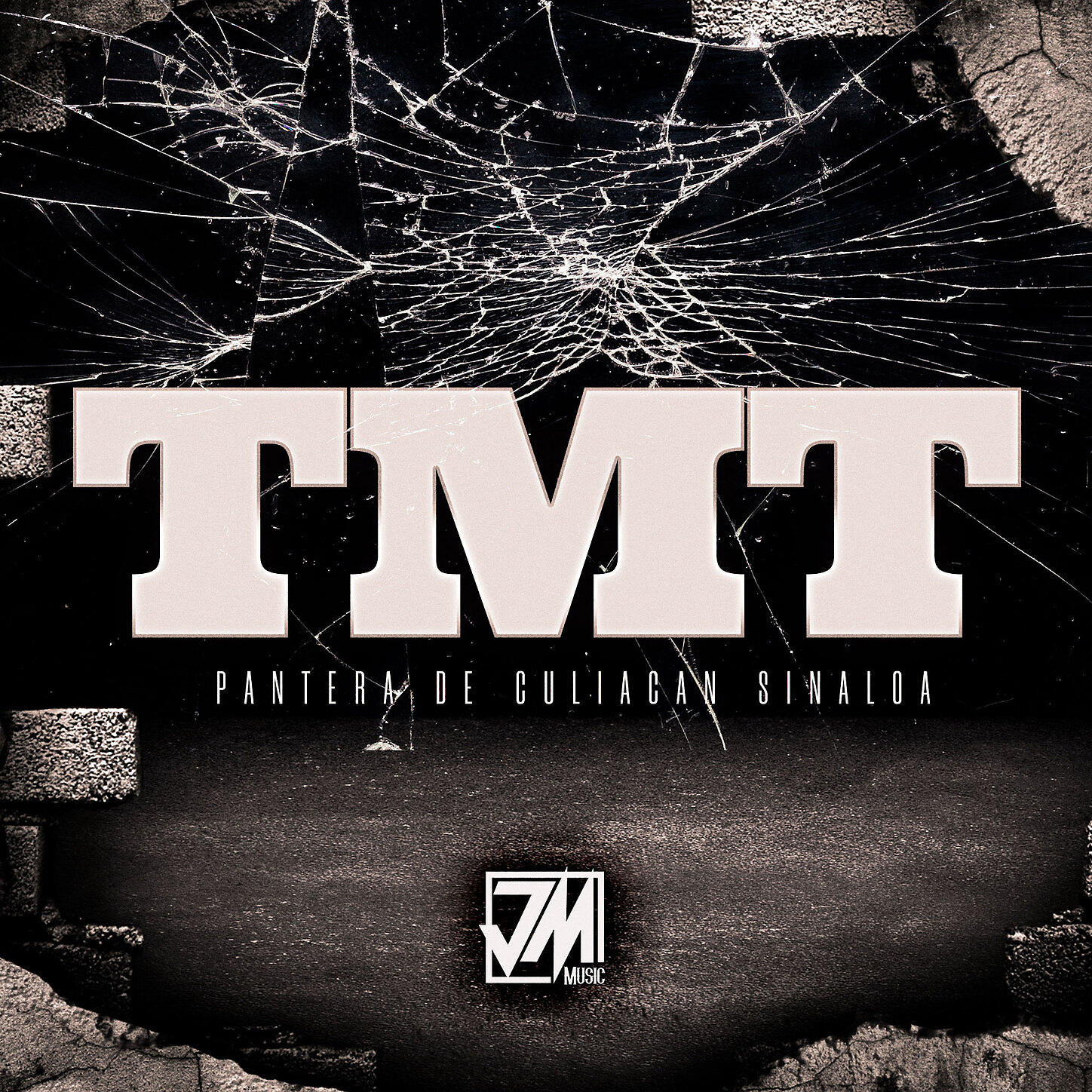 Pantera De Culiacan Sinaloa - TMT
