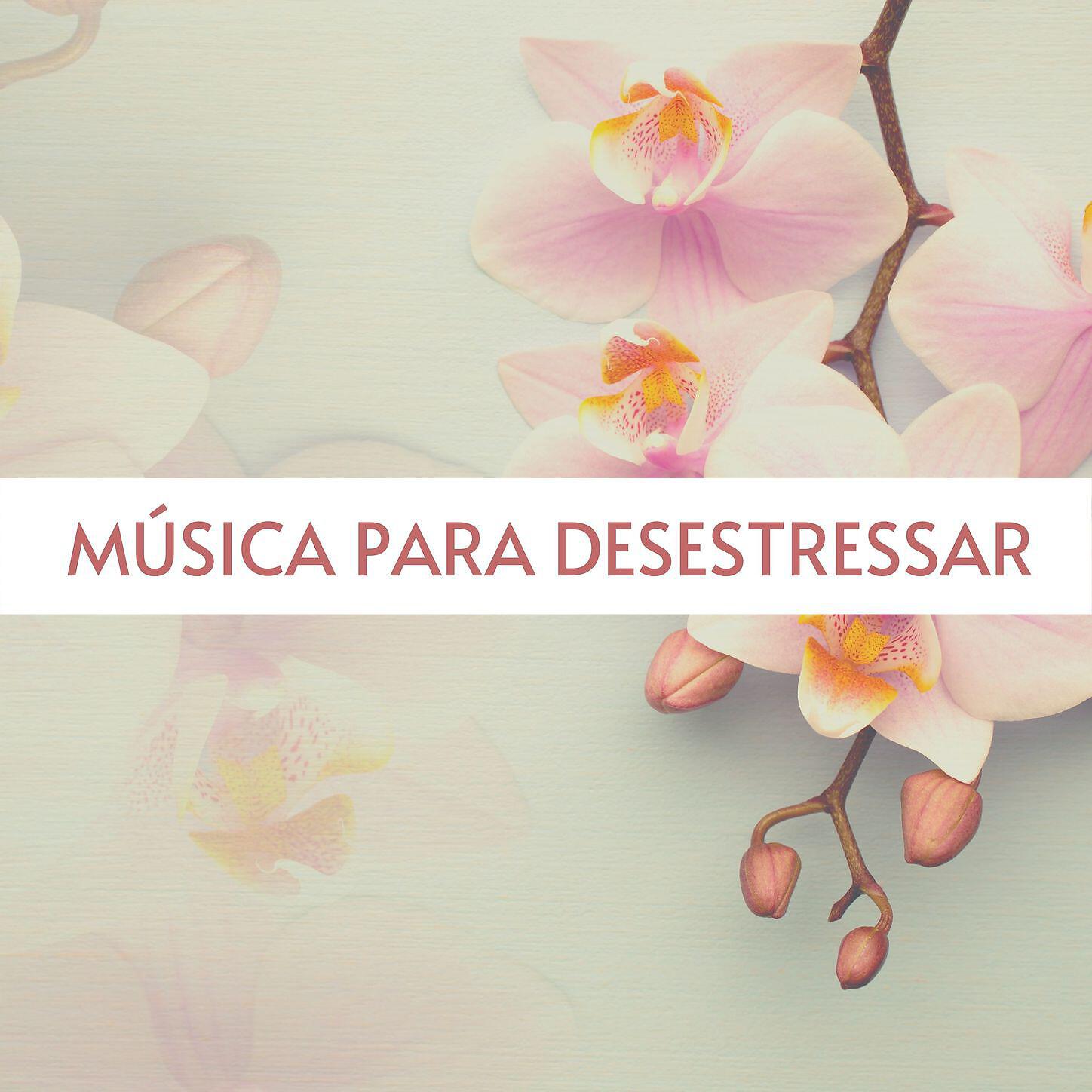 Amélia Estresse - Relaxar Corpo e Mente