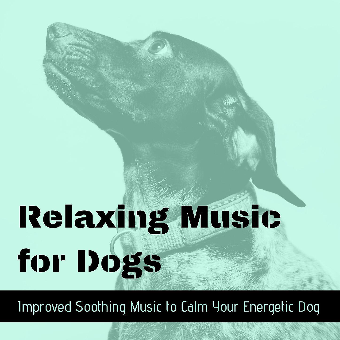 Relax for Life,Music for Dogs Collective - Good Karma