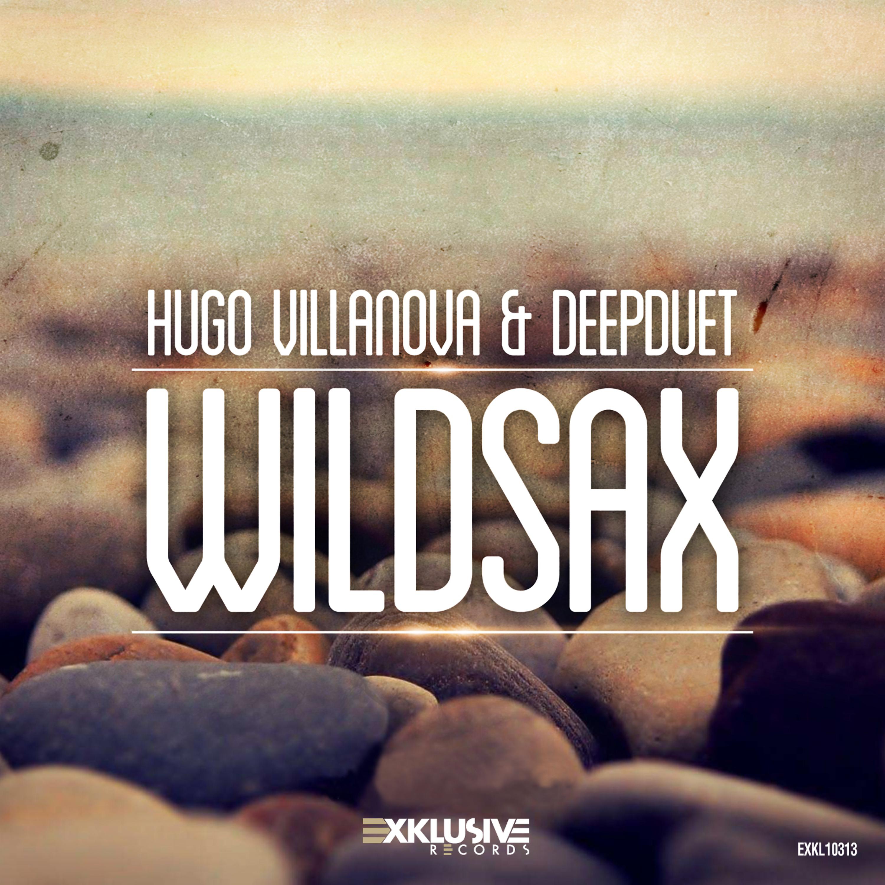 Постер альбома Wildsax