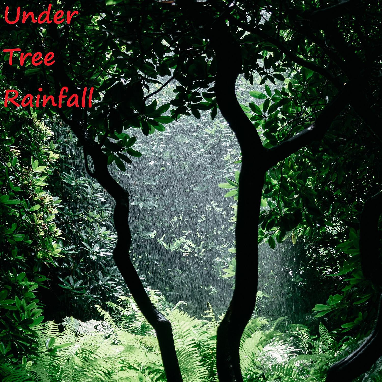 Calm Weather Factory - Simple Raindrops for Settle Down