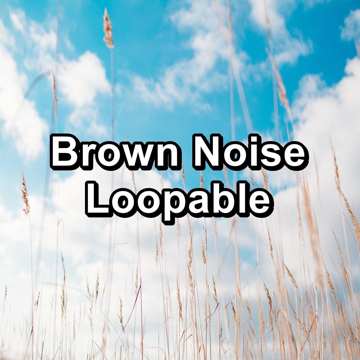 Постер альбома Brown Noise Loopable