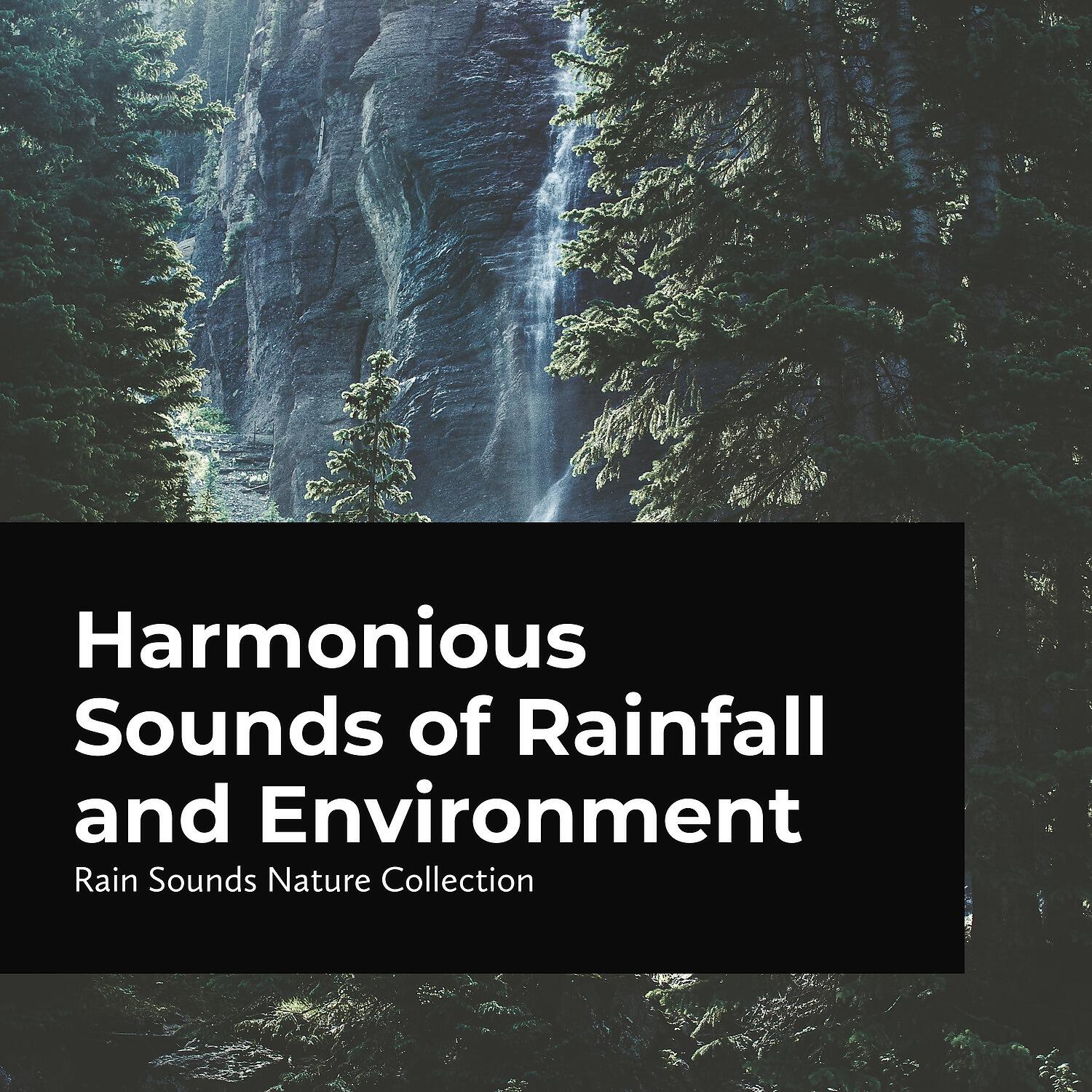 Rain Sounds Nature Collection - Rain Dripping in the Tent