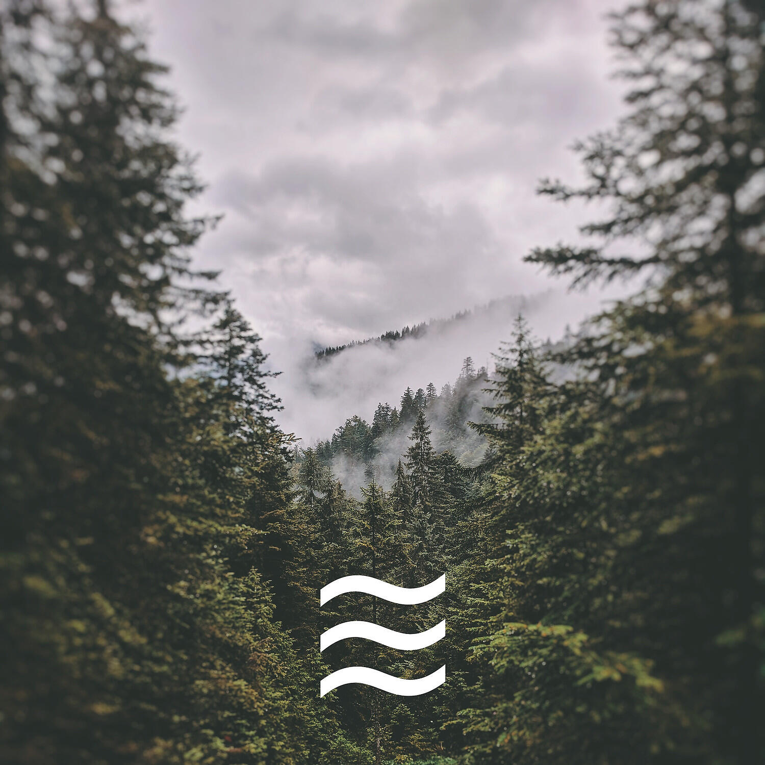 Nice Raining - Serene Noise Sounds of Rain