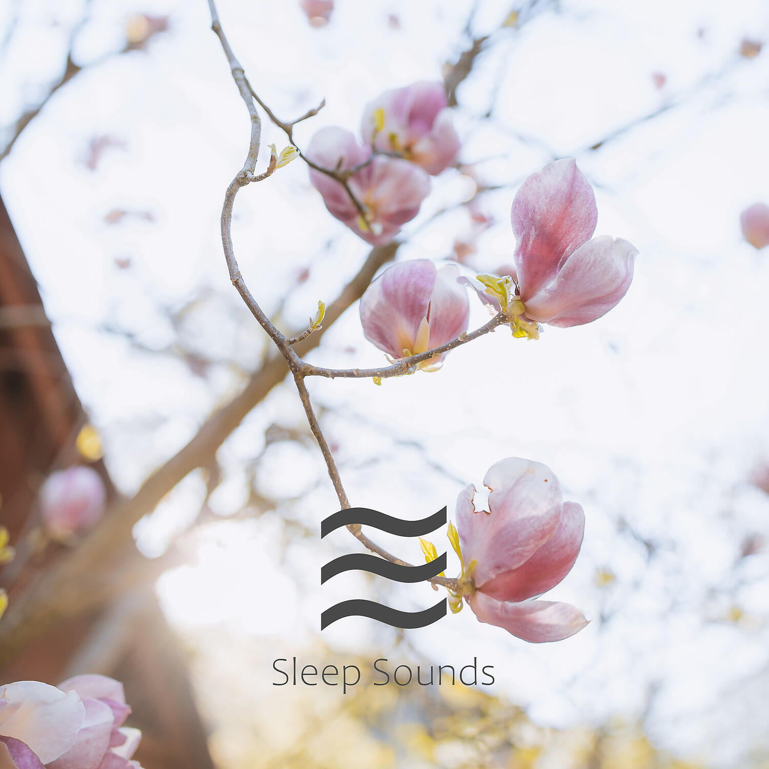 Placid Calming Sough - Relaxing Noisy Tone Noise