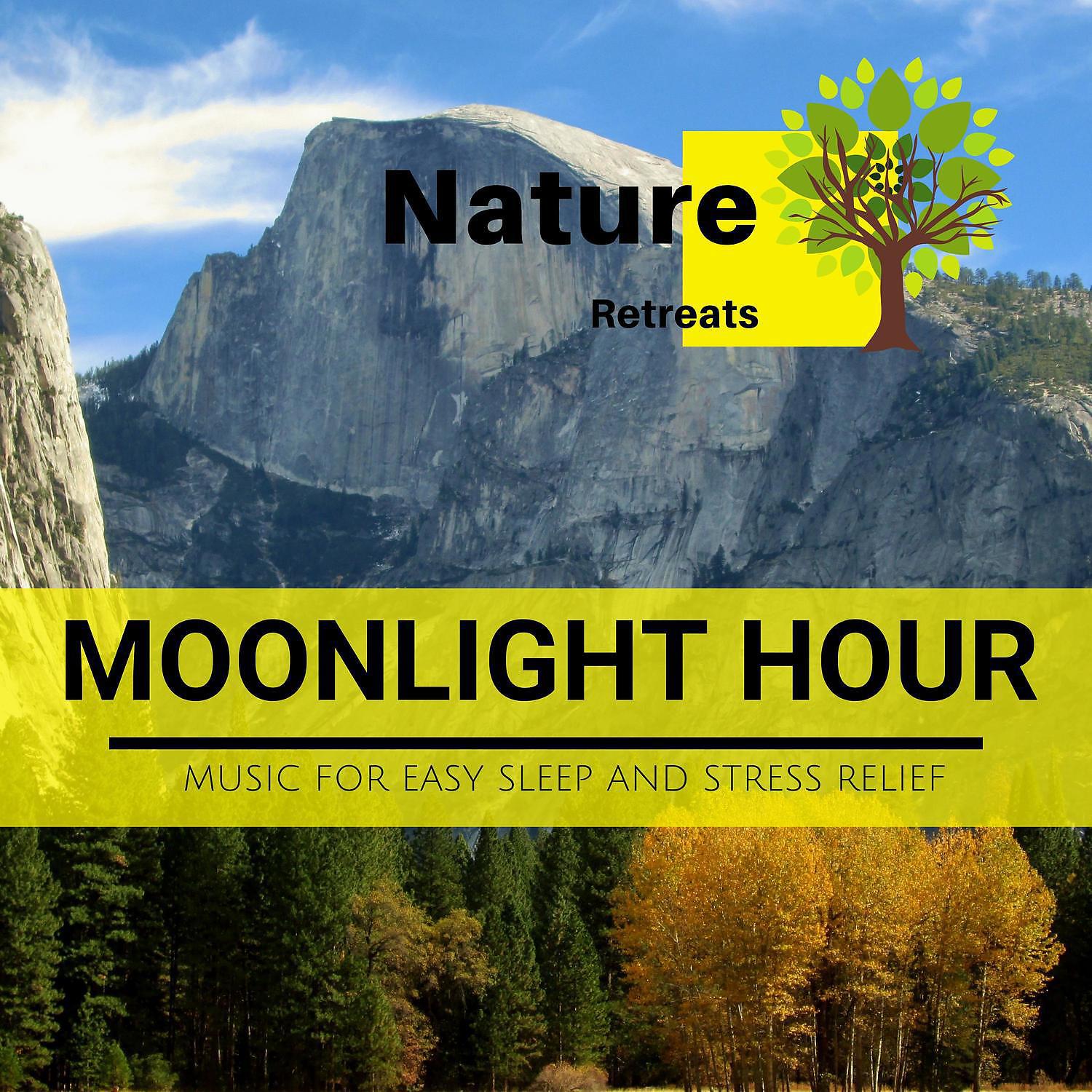 Постер альбома Moonlight Hour - Music for Easy Sleep and Stress Relief