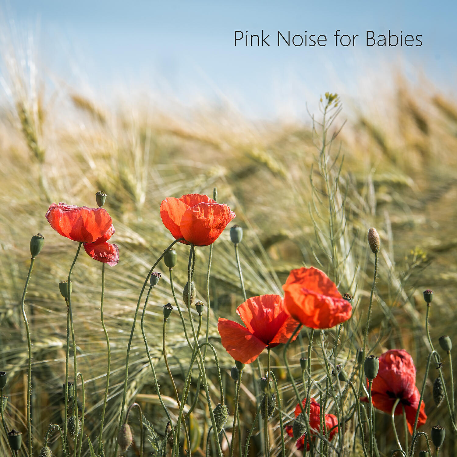 Shushing Noises - Brown Noise Deep Sleep