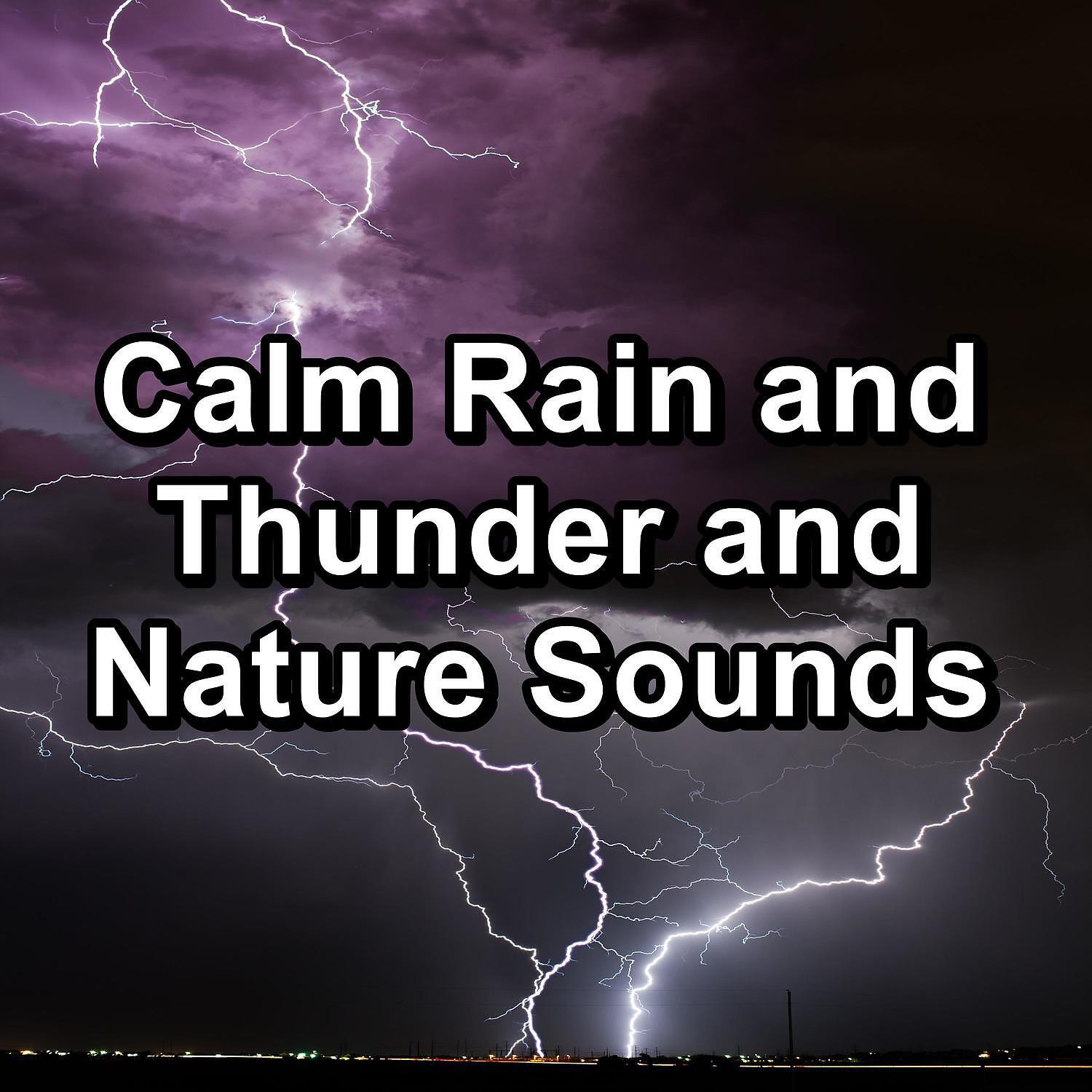 Spa - Soft Rain and Thunder with Thunder and White Noise For Babies to Sleep