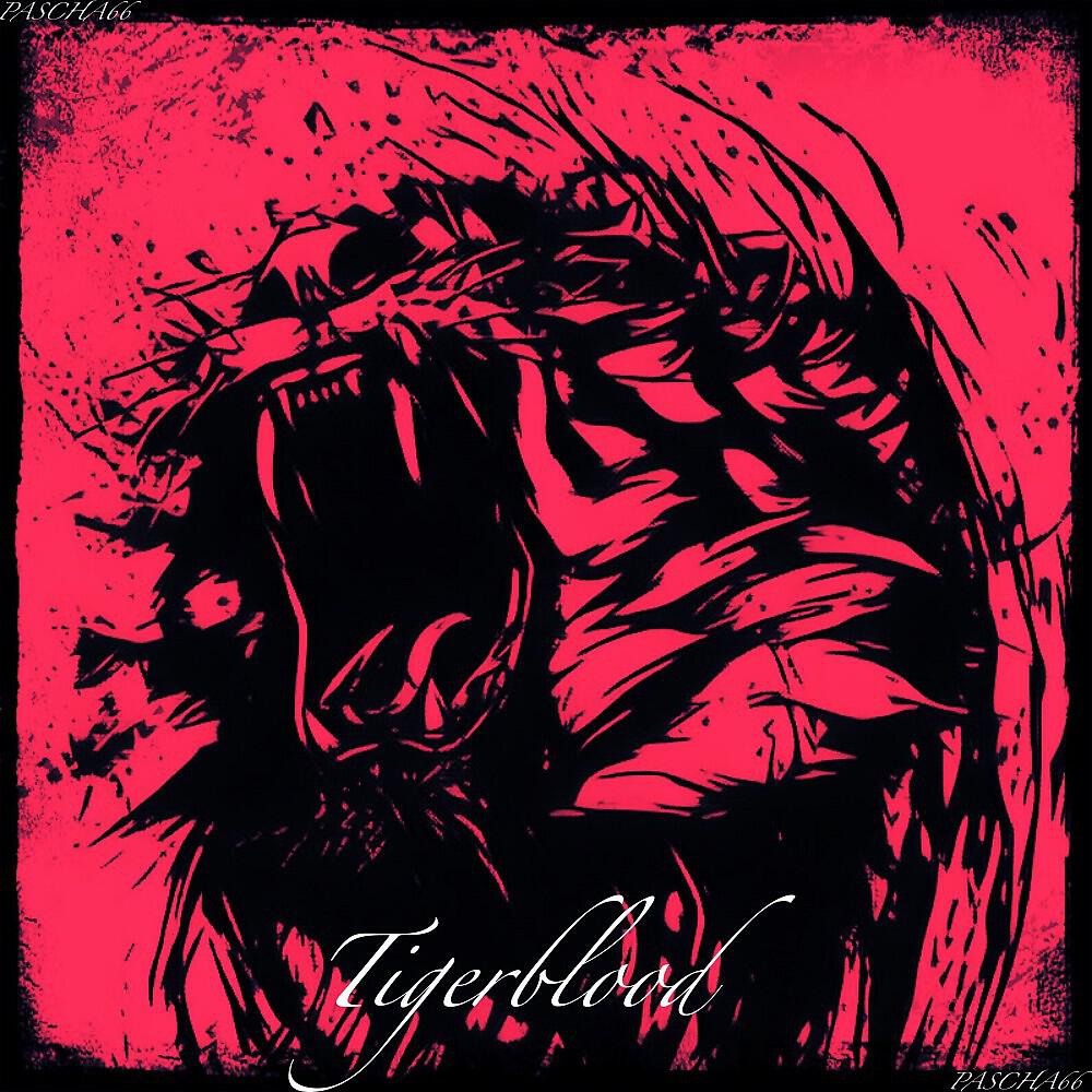 Pascha66 - Tigerblood