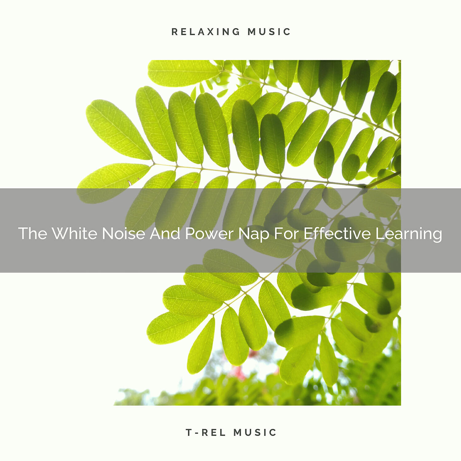 Baby Shusher - The White Noise And Power Nap For Effective Learning