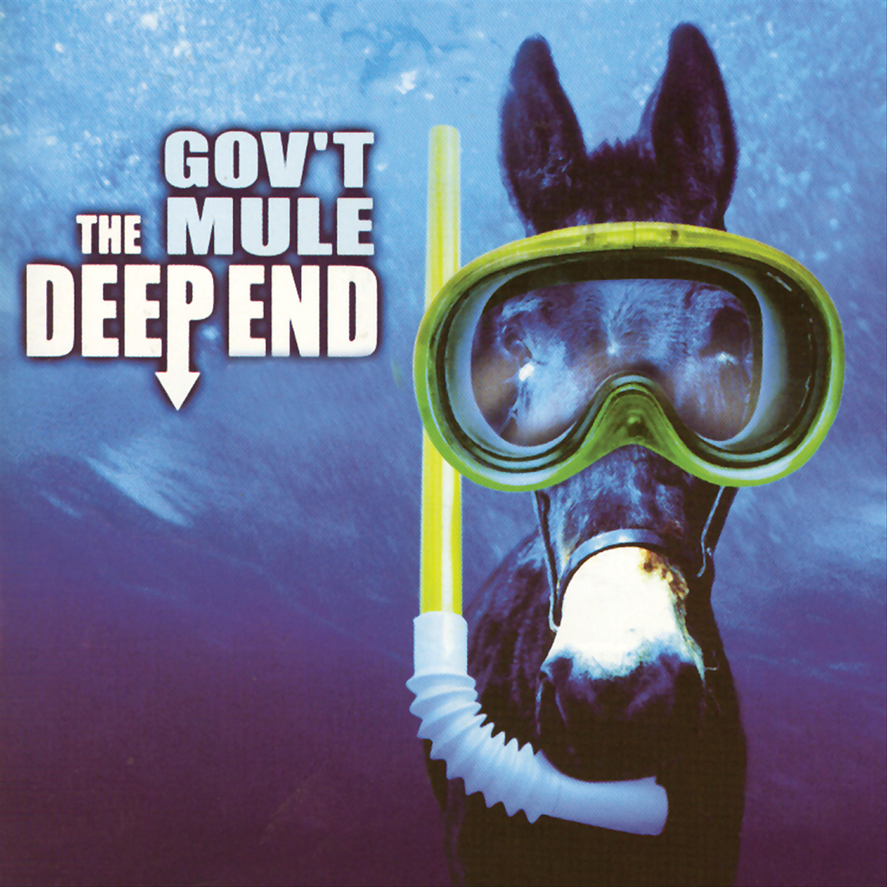Gov't Mule - Soulshine
