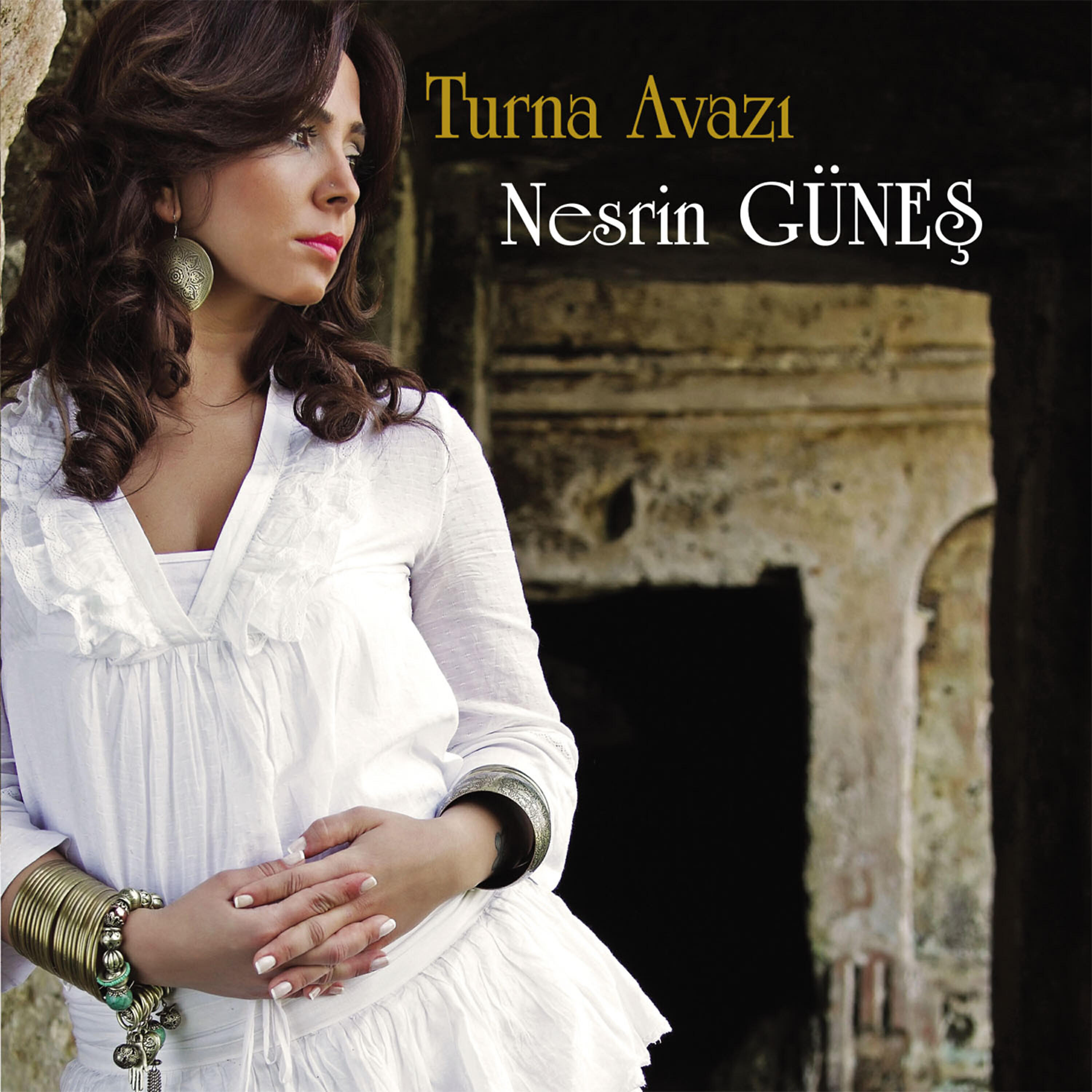 Nesrin Güneş - Hayınsın