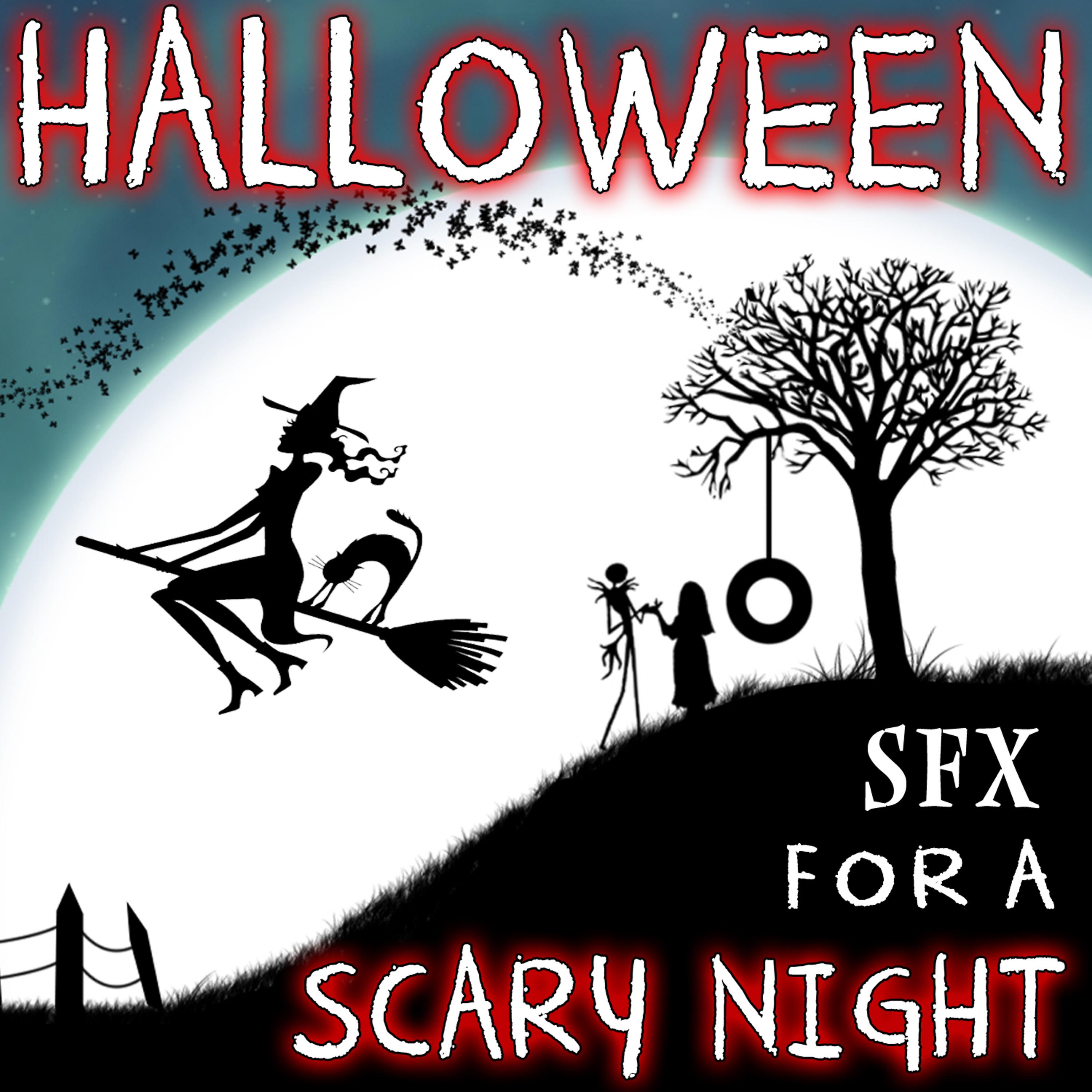 Постер альбома Sfx for a Scary Night. Halloween