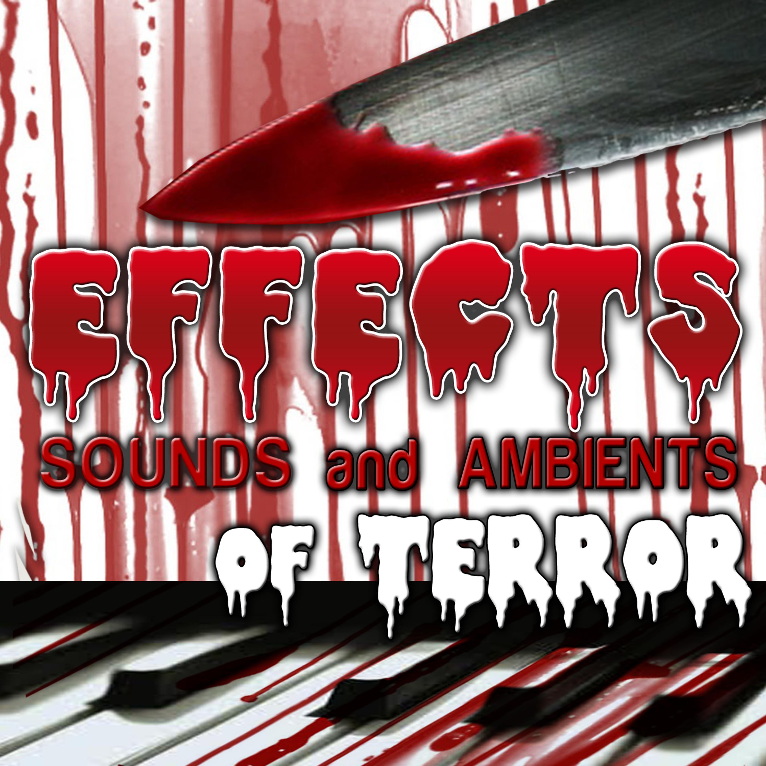 Постер альбома Effects. Sounds and Ambients of Terror
