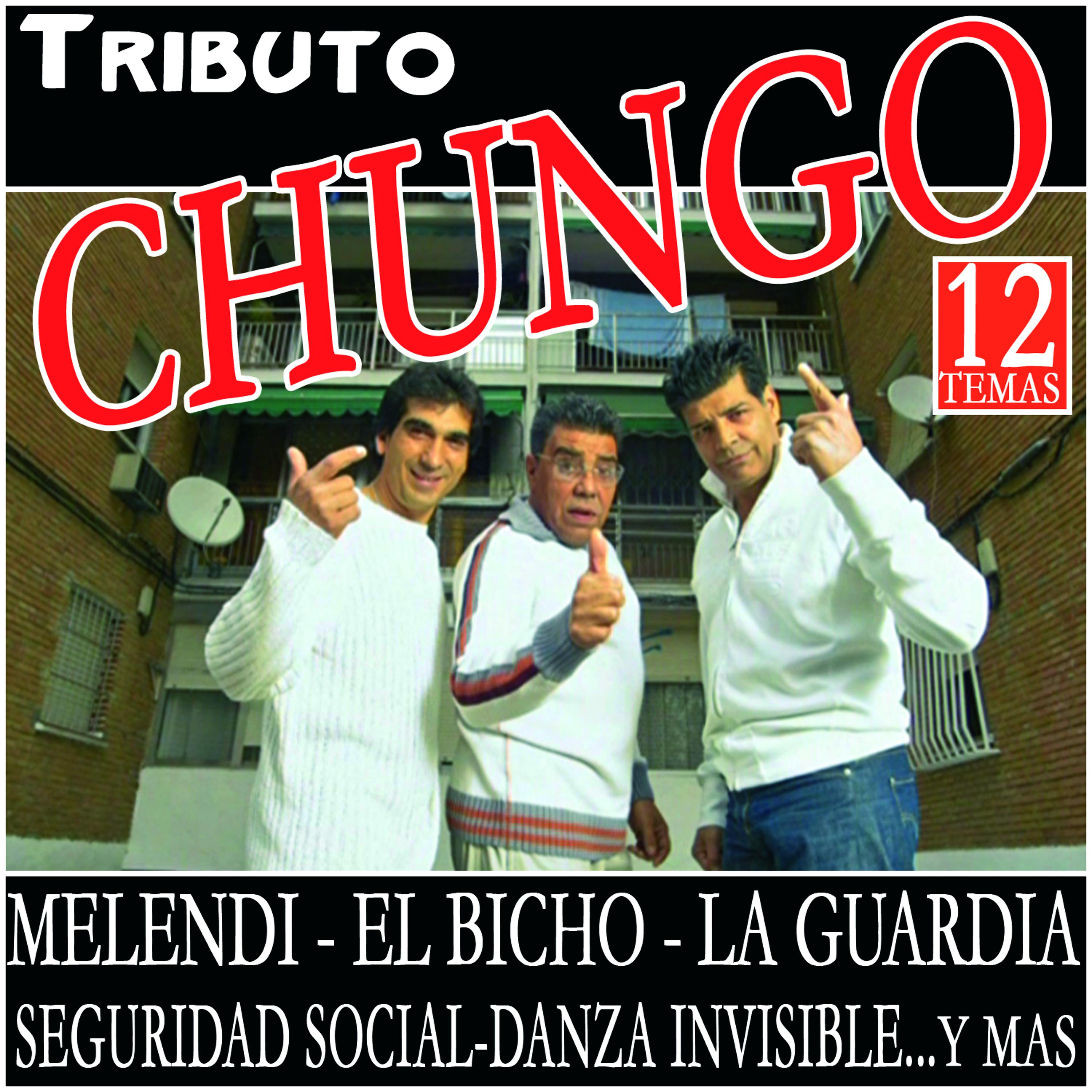 Постер альбома Tributo Chungo